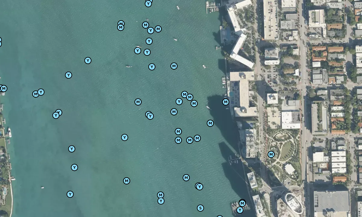 Satelite image of 8th Street