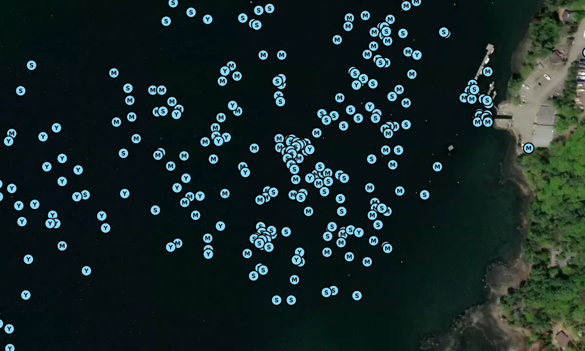 Satelite image of Abel Marina