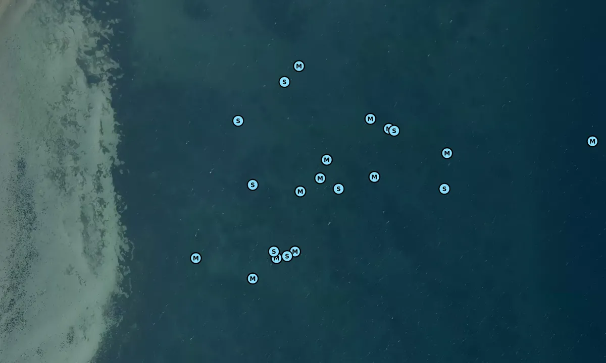 Satelite image of Agersø - Bøgevig bouy