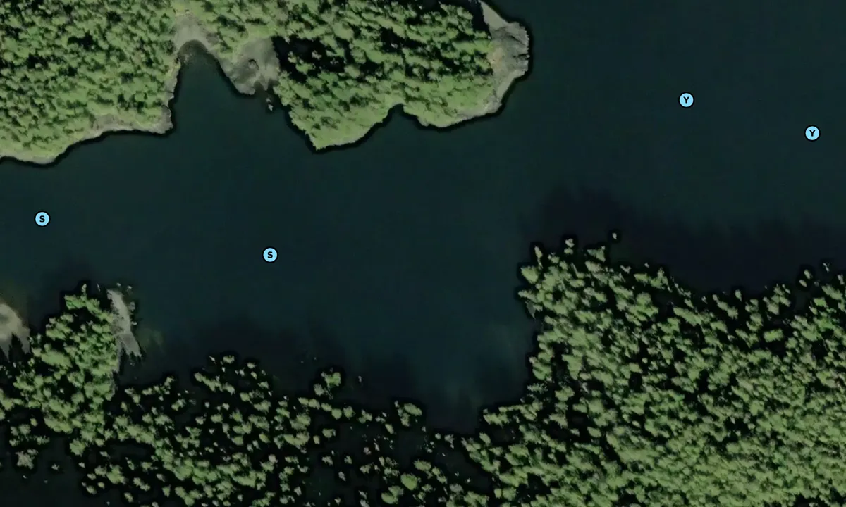 Satelite image of Aiken Cove East