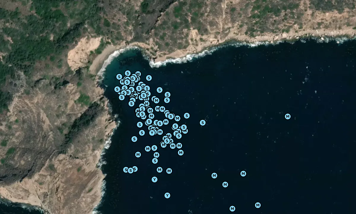 Satelite image of Albert