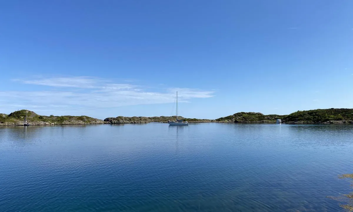 Ålesøya : {"base": "no", "no": "\u00c5les\u00f8y i juli 2026 er som \u00e5 ligge p\u00e5 et fjellvann. I natt bl\u00e5ste det 19-25 knop nordavind uten at det ble noe sj\u00f8. Ankeret holdt fint uten \u00e5 dregge. Salt ligger for anker, men her er plenty bolter i fjellet. Det l\u00e5 en stor 50-fot seilb\u00e5t som stikker 290 cm her da vi kom. Salt stikker 190 cm, men en motorb\u00e5t kan g\u00e5 videre inn i neste poll. Det er dypt nok i innseilingen fra \u00c5les\u00f8y-lagunen. Fint \u00e5 g\u00e5 tur p\u00e5 \u00f8yene med spennende bading fra svaberg rett ut i storhavet. Stedet er en opplevelse og kommer p\u00e5 v\u00e5rt 10-p\u00e5-topp liste over plasser vi vil bes\u00f8ke p\u00e5 ny.", "se": "\u00c5les\u00f8y i juli 2026 \u00e4r som att ligga vid en fj\u00e4llsj\u00f6. Inatt bl\u00e5ste det 19-25 knop nordvind utan att det blev n\u00e5gon sj\u00f6. Ankaret h\u00f6ll fint utan att dragga. Salt ligger f\u00f6r ankar, men h\u00e4r finns det gott om bultar i berget. Det l\u00e5g en stor 50-fots segelb\u00e5t som sticker 290 cm h\u00e4r n\u00e4r vi kom. Salt sticker 190 cm, men en motorb\u00e5t kan g\u00e5 vidare in i n\u00e4sta pollarium. Det \u00e4r djupt nog vid inseglingen fr\u00e5n \u00c5les\u00f8y-lagunen. Fint att g\u00e5 p\u00e5 tur p\u00e5 \u00f6arna med sp\u00e4nnande bad fr\u00e5n klippor rakt ut i det stora havet. Platsen \u00e4r en upplevelse och kommer p\u00e5 v\u00e5r 10-i-topp lista \u00f6ver st\u00e4llen vi vill bes\u00f6ka igen.", "en": "\u00c5les\u00f8y in July 2026 is like being on a mountain lake. Last night there was a north wind blowing at 19-25 knots without causing any sea. The anchor held fine without dragging. Salt is anchored, but there are plenty of bolts in the rock here. There was a large 50-foot sailboat with a draft of 290 cm here when we arrived. Salt has a draft of 190 cm, but a motorboat can proceed further into the next bay. It is deep enough in the channel from the \u00c5les\u00f8y lagoon. It's nice to hike on the islands with exciting swimming from the rocks straight into the open sea. The place is an experience and is on our top 10 list of places we want to visit again.", "da": "\u00c5les\u00f8y i juli 2026 er som at ligge p\u00e5 en fjelds\u00f8. I nat bl\u00e6ste det 19-25 knob nordenvind uden at der blev nogen s\u00f8. Ankeret holdt fint uden at drive. Salt ligger for anker, men her er masser af bolte i fjeldet. Der l\u00e5 en stor 50-fods sejlb\u00e5d, der stikker 290 cm, her da vi kom. Salt stikker 190 cm, men en motorb\u00e5d kan g\u00e5 videre ind i n\u00e6ste poll. Det er dybt nok i indsejlingen fra \u00c5les\u00f8y-lagunen. Det er fint at g\u00e5 ture p\u00e5 \u00f8erne med sp\u00e6ndende badning fra klipper direkte ud i storhavet. Stedet er en oplevelse og kommer p\u00e5 vores 10-p\u00e5-top liste over steder, vi vil bes\u00f8ge igen.", "fr": "\u00c5les\u00f8y en juillet 2026, c'est comme \u00eatre sur un lac de montagne. La nuit derni\u00e8re, il y avait un vent du nord de 19-25 n\u0153uds sans qu'il y ait de houle. L'ancre a bien tenu sans d\u00e9raper. Salt est \u00e0 l'ancre, mais il y a plein de boulons dans la roche. Il y avait un grand voilier de 50 pieds avec un tirant d'eau de 290 cm ici quand nous sommes arriv\u00e9s. Salt a un tirant d'eau de 190 cm, mais un bateau \u00e0 moteur peut aller plus loin dans la prochaine crique. Il y a assez de profondeur dans le chenal d'acc\u00e8s depuis la lagune d'\u00c5les\u00f8y. Il est agr\u00e9able de se promener sur les \u00eeles avec des baignades passionnantes depuis les rochers directement dans l'oc\u00e9an. L'endroit est une exp\u00e9rience et figure sur notre liste des 10 meilleurs endroits que nous voulons revisiter.", "de": "\u00c5les\u00f8y im Juli 2026 ist wie auf einem Bergsee zu liegen. In der Nacht wehte es Nordwind mit 19-25 Knoten, ohne dass es auf dem Meer Wellen gab. Der Anker hielt gut, ohne zu schleifen. Salt liegt vor Anker, aber hier gibt es genug Bolzen im Felsen. Als wir ankamen, lag hier eine gro\u00dfe 50-Fu\u00df Segelyacht mit einem Tiefgang von 290 cm. Salt hat einen Tiefgang von 190 cm, aber ein Motorboot kann weiter in die n\u00e4chste Bucht fahren. Die Einfahrt von der \u00c5les\u00f8y-Lagune aus ist tief genug. Es ist sch\u00f6n, auf den Inseln spazieren zu gehen, mit aufregendem Baden von den Klippen direkt ins offene Meer. Der Ort ist ein Erlebnis und steht auf unserer Top-10-Liste der Pl\u00e4tze, die wir erneut besuchen m\u00f6chten.", "es": "\u00c5les\u00f8y en julio de 2026 es como estar en un lago de monta\u00f1a. Anoche sopl\u00f3 el viento del norte a 19-25 nudos sin que se levantara el mar. El ancla se sostuvo bien sin garrear. Salt est\u00e1 anclado, pero aqu\u00ed hay muchos pernos en la roca. Hab\u00eda un gran velero de 50 pies con un calado de 290 cm cuando llegamos. Salt tiene un calado de 190 cm, pero un barco de motor puede avanzar m\u00e1s hacia la siguiente cala. Hay suficiente profundidad en la entrada desde la laguna de \u00c5les\u00f8y. Es agradable caminar por las islas con emocionantes ba\u00f1os desde las rocas directamente hacia el mar abierto. El lugar es una experiencia y est\u00e1 en nuestra lista de los 10 mejores lugares que queremos visitar de nuevo.", "it": "\u00c5les\u00f8y a luglio 2026 \u00e8 come stare in un lago di montagna. La scorsa notte il vento del nord soffiava a 19-25 nodi senza che ci fosse mare mosso. L'ancora ha tenuto bene senza trascinare. Salt \u00e8 ancorata, ma ci sono molti bulloni nella roccia. Quando siamo arrivati, c'era un grande yacht di 50 piedi con un pescaggio di 290 cm. Salt ha un pescaggio di 190 cm, ma una barca a motore pu\u00f2 proseguire nella prossima insenatura. L'ingresso dalla laguna di \u00c5les\u00f8y \u00e8 sufficientemente profondo. \u00c8 bello fare passeggiate sulle isole con bagni entusiasmanti dalle rocce direttamente nell'oceano aperto. Questo luogo \u00e8 un'esperienza e rientra nella nostra lista dei primi 10 posti che vogliamo visitare di nuovo.", "pt": "\u00c5les\u00f8y em julho de 2026 \u00e9 como estar em um lago nas montanhas. Esta noite o vento norte soprou a 19-25 n\u00f3s sem causar ondula\u00e7\u00f5es. A \u00e2ncora se manteve firme sem garrear. Salt est\u00e1 ancorado, mas h\u00e1 muitos grampos na rocha. Quando chegamos, havia um grande veleiro de 50 p\u00e9s com calado de 290 cm aqui. Salt tem calado de 190 cm, mas uma lancha pode ir mais adiante at\u00e9 a pr\u00f3xima enseada. A profundidade na entrada da lagoa de \u00c5les\u00f8y \u00e9 suficiente. \u00c9 \u00f3timo caminhar pelas ilhas com nata\u00e7\u00e3o emocionante das rochas, direto no mar aberto. O lugar \u00e9 uma experi\u00eancia e est\u00e1 na nossa lista dos 10 melhores lugares que queremos visitar novamente.", "nl": "\u00c5les\u00f8y in juli 2026 is als liggen op een bergmeer. Vannacht waaide het 19-25 knopen noordenwind zonder dat er enige zee was. Het anker hield goed zonder te krabben. Salt ligt voor anker, maar hier zijn genoeg rotsbouten. Er lag een grote 50-voets zeilboot met een diepgang van 290 cm toen wij kwamen. Salt heeft een diepgang van 190 cm, maar een motorboot kan verderop gaan naar de volgende poel. Het is diep genoeg bij de ingang van de \u00c5les\u00f8y-lagune. Mooi om te wandelen op de eilanden met spannend zwemmen vanaf de rotsen direct in de open zee. De plek is een belevenis en komt op onze top 10 lijst van plekken die we opnieuw willen bezoeken.", "pl": "Los w lipcu 2026 roku to jakby by\u0107 na g\u00f3rskim jeziorze. Tej nocy wia\u0142o z pr\u0119dko\u015bci\u0105 19-25 w\u0119z\u0142\u00f3w z p\u00f3\u0142nocy, ale morze by\u0142o spokojne. Kotwica trzyma\u0142a si\u0119 dobrze, nie dryfowali\u015bmy. Salt stoi na kotwicy, ale tu jest pe\u0142no bolc\u00f3w w skale. Gdy przyjechali\u015bmy, cumowa\u0142 tu du\u017cy, 50-metrowy jacht \u017caglowy, kt\u00f3ry ma zanurzenie 290 cm. Salt ma zanurzenie 190 cm, ale \u0142\u00f3d\u017a motorowa mo\u017ce wp\u0142yn\u0105\u0107 dalej do nast\u0119pnej zatoki. G\u0142\u0119boko\u015b\u0107 jest wystarczaj\u0105ca przy wchodzeniu z laguny \u00c5les\u00f8y. Fajne spacery po wyspach z ekscytuj\u0105cym k\u0105pieliskiem wprost ze ska\u0142 do otwartego morza. To miejsce to prawdziwe prze\u017cycie i trafia na nasz\u0105 list\u0119 10 najlepszych miejsc, kt\u00f3re chcieliby\u015bmy odwiedzi\u0107 ponownie.", "uk": "\u041e\u043b\u0435\u0441\u043e\u0439 \u0432 \u043b\u0438\u043f\u043d\u0456 2026 \u0440\u043e\u043a\u0443 \u0441\u0445\u043e\u0436\u0435 \u043d\u0430 \u043f\u0435\u0440\u0435\u0431\u0443\u0432\u0430\u043d\u043d\u044f \u043d\u0430 \u0433\u0456\u0440\u0441\u044c\u043a\u043e\u043c\u0443 \u043e\u0437\u0435\u0440\u0456. \u0426\u0456\u0454\u0457 \u043d\u043e\u0447\u0456 \u0434\u0443\u0432 \u043f\u0456\u0432\u043d\u0456\u0447\u043d\u0438\u0439 \u0432\u0456\u0442\u0435\u0440 \u0437\u0456 \u0448\u0432\u0438\u0434\u043a\u0456\u0441\u0442\u044e 19-25 \u0432\u0443\u0437\u043b\u0456\u0432, \u0430\u043b\u0435 \u043c\u043e\u0440\u044f \u043d\u0435 \u0431\u0443\u043b\u043e. \u042f\u043a\u0456\u0440 \u0442\u0440\u0438\u043c\u0430\u0432\u0441\u044f \u0447\u0443\u0434\u043e\u0432\u043e, \u043d\u0435 \u043a\u043e\u0432\u0437\u0430\u0432. \u0421\u043e\u043b\u0442 \u0441\u0442\u043e\u0457\u0442\u044c \u043d\u0430 \u044f\u043a\u043e\u0440\u0456, \u0430\u043b\u0435 \u0442\u0443\u0442 \u0454 \u0431\u0430\u0433\u0430\u0442\u043e \u0431\u043e\u043b\u0442\u0456\u0432 \u0443 \u0441\u043a\u0435\u043b\u0456. \u0422\u0443\u0442 \u0441\u0442\u043e\u044f\u043b\u0430 \u0432\u0435\u043b\u0438\u043a\u0430 50-\u0444\u0443\u0442\u043e\u0432\u0430 \u0432\u0456\u0442\u0440\u0438\u043b\u044c\u043d\u0430 \u044f\u0445\u0442\u0430 \u0437 \u043e\u0441\u0430\u0434\u043a\u043e\u044e 290 \u0441\u043c, \u043a\u043e\u043b\u0438 \u043c\u0438 \u043f\u0440\u0438\u0457\u0445\u0430\u043b\u0438. \u0421\u043e\u043b\u0442 \u043c\u0430\u0454 \u043e\u0441\u0430\u0434\u043a\u0443 190 \u0441\u043c, \u0430\u043b\u0435 \u043c\u043e\u0442\u043e\u0440\u043d\u0438\u0439 \u0447\u043e\u0432\u0435\u043d \u043c\u043e\u0436\u0435 \u043f\u0440\u043e\u0439\u0442\u0438 \u0434\u0430\u043b\u0456 \u0432 \u043d\u0430\u0441\u0442\u0443\u043f\u043d\u0443 \u0433\u043b\u0438\u0431\u0438\u043d\u0443. \u0413\u043b\u0438\u0431\u0438\u043d\u0438 \u0434\u043e\u0441\u0442\u0430\u0442\u043d\u044c\u043e \u043f\u0440\u0438 \u0437\u0430\u0445\u043e\u0434\u0456 \u0437 \u041e\u043b\u0435\u0441\u043e\u0439\u0441\u044c\u043a\u043e\u0457 \u043b\u0430\u0433\u0443\u043d\u0438. \u0427\u0443\u0434\u043e\u0432\u043e \u043f\u0440\u043e\u0433\u0443\u043b\u044f\u0442\u0438\u0441\u044f \u043f\u043e \u043e\u0441\u0442\u0440\u043e\u0432\u0430\u0445 \u0437 \u0437\u0430\u0445\u043e\u043f\u043b\u044e\u044e\u0447\u0438\u043c \u043a\u0443\u043f\u0430\u043d\u043d\u044f\u043c \u0437\u0456 \u0441\u043a\u0435\u043b\u044c \u043f\u0440\u044f\u043c\u043e \u0432 \u0432\u0456\u0434\u043a\u0440\u0438\u0442\u0435 \u043c\u043e\u0440\u0435. \u0426\u0435 \u043c\u0456\u0441\u0446\u0435 \u0434\u043e\u0441\u0432\u0456\u0434 \u0456 \u0432\u0445\u043e\u0434\u0438\u0442\u044c \u0434\u043e \u043d\u0430\u0448\u043e\u0433\u043e \u0441\u043f\u0438\u0441\u043a\u0443 \u0442\u043e\u043f-10 \u043c\u0456\u0441\u0446\u044c, \u044f\u043a\u0456 \u043c\u0438 \u0445\u043e\u0447\u0435\u043c\u043e \u0432\u0456\u0434\u0432\u0456\u0434\u0430\u0442\u0438 \u0437\u043d\u043e\u0432\u0443.", "ro": "\u00c5les\u00f8y \u00een iulie 2026 este ca \u0219i cum ai fi pe un lac de munte. Noaptea trecut\u0103 a b\u0103tut un v\u00e2nt nordic de 19-25 noduri f\u0103r\u0103 a ridica mare. Ancora a \u021binut bine f\u0103r\u0103 s\u0103 derapeze. Salt este ancorat\u0103, dar aici sunt numeroase bol\u021buri \u00een st\u00e2nc\u0103. Era un velier mare de 50 de picioare care pescuia 290 cm aici c\u00e2nd am venit. Salt pescuie\u0219te 190 cm, dar o barc\u0103 cu motor poate merge mai departe \u00een urm\u0103toarea lagun\u0103. Este suficient de ad\u00e2nc \u00een canalul de acces din laguna \u00c5les\u00f8y. Minunat pentru plimb\u0103ri pe insule, cu baie incitant\u0103 de pe st\u00e2nci direct \u00een oceanul deschis. Locul este o experien\u021b\u0103 \u0219i \u00eel consider\u0103m \u00een topul nostru 10 al locurilor pe care dorim s\u0103 le vizit\u0103m din nou.", "tr": "\u00c5les\u00f8y Temmuz 2026'da sanki bir da\u011f g\u00f6l\u00fcnde demirlemek gibi. Bu gece 19-25 knot kuzey r\u00fczgar\u0131 esti ama denizde bir hareket olmad\u0131. \u00c7apa g\u00fczelce tutundu, s\u00fcr\u00fcklenmedi. Salt demirde duruyor, fakat kayalarda bol miktarda c\u0131vata var. Biz geldi\u011fimizde burada 290 cm su \u00e7ekimi olan b\u00fcy\u00fck bir 50 fit yelkenli yat duruyordu. Salt'\u0131n su \u00e7ekimi 190 cm, ama bir motorlu tekne sonraki koya kadar ilerleyebilir. \u00c5les\u00f8y lag\u00fcn\u00fcnden yakla\u015f\u0131mda yeterli derinlik var. Adalarda y\u00fcr\u00fcy\u00fc\u015f yapmak ve kayalardan do\u011frudan okyanusa heyecan verici y\u00fczmeler i\u00e7in harika bir yer. Buras\u0131 bir deneyim ve tekrar ziyaret etmek istedi\u011fimiz yerlerin ilk 10 listesine giriyor.", "el": "\u0397 \u00c5les\u00f8y \u03c4\u03bf\u03bd \u0399\u03bf\u03cd\u03bb\u03b9\u03bf \u03c4\u03bf\u03c5 2026 \u03b5\u03af\u03bd\u03b1\u03b9 \u03c3\u03b1\u03bd \u03bd\u03b1 \u03b2\u03c1\u03af\u03c3\u03ba\u03b5\u03c3\u03b1\u03b9 \u03c3\u03b5 \u03bc\u03b9\u03b1 \u03bb\u03af\u03bc\u03bd\u03b7 \u03c3\u03c4\u03bf \u03b2\u03bf\u03c5\u03bd\u03cc. \u03a4\u03b7 \u03bd\u03cd\u03c7\u03c4\u03b1 \u03c6\u03cd\u03c3\u03b7\u03be\u03b5 \u03b2\u03cc\u03c1\u03b5\u03b9\u03bf\u03c2 \u03ac\u03bd\u03b5\u03bc\u03bf\u03c2 19-25 \u03ba\u03cc\u03bc\u03b2\u03c9\u03bd \u03c7\u03c9\u03c1\u03af\u03c2 \u03bd\u03b1 \u03b4\u03b7\u03bc\u03b9\u03bf\u03c5\u03c1\u03b3\u03b7\u03b8\u03b5\u03af \u03b8\u03ac\u03bb\u03b1\u03c3\u03c3\u03b1. \u0397 \u03ac\u03b3\u03ba\u03c5\u03c1\u03b1 \u03ba\u03c1\u03ac\u03c4\u03b7\u03c3\u03b5 \u03ba\u03b1\u03bb\u03ac \u03c7\u03c9\u03c1\u03af\u03c2 \u03bd\u03b1 \u03c0\u03b1\u03c1\u03b1\u03c3\u03c5\u03c1\u03b8\u03b5\u03af. \u03a4\u03bf Salt \u03b5\u03af\u03bd\u03b1\u03b9 \u03b1\u03b3\u03ba\u03c5\u03c1\u03bf\u03b2\u03bf\u03bb\u03b7\u03bc\u03ad\u03bd\u03bf, \u03cc\u03bc\u03c9\u03c2 \u03b5\u03b4\u03ce \u03c5\u03c0\u03ac\u03c1\u03c7\u03bf\u03c5\u03bd \u03ac\u03c6\u03b8\u03bf\u03bd\u03b1 \u03b2\u03af\u03b4\u03b5\u03c2 \u03c3\u03c4\u03b1 \u03b2\u03c1\u03ac\u03c7\u03b9\u03b1. \u03a5\u03c0\u03ae\u03c1\u03c7\u03b5 \u03ad\u03bd\u03b1 \u03bc\u03b5\u03b3\u03ac\u03bb\u03bf \u03b9\u03c3\u03c4\u03b9\u03bf\u03c6\u03cc\u03c1\u03bf 50 \u03c0\u03bf\u03b4\u03b9\u03ce\u03bd \u03bc\u03b5 \u03b2\u03cd\u03b8\u03b9\u03c3\u03bc\u03b1 290 \u03b5\u03ba. \u03cc\u03c4\u03b1\u03bd \u03c6\u03c4\u03ac\u03c3\u03b1\u03bc\u03b5. \u03a4\u03bf Salt \u03ad\u03c7\u03b5\u03b9 \u03b2\u03cd\u03b8\u03b9\u03c3\u03bc\u03b1 190 \u03b5\u03ba, \u03b5\u03bd\u03ce \u03ad\u03bd\u03b1 \u03bc\u03b7\u03c7\u03b1\u03bd\u03bf\u03ba\u03af\u03bd\u03b7\u03c4\u03bf \u03c3\u03ba\u03ac\u03c6\u03bf\u03c2 \u03bc\u03c0\u03bf\u03c1\u03b5\u03af \u03bd\u03b1 \u03c0\u03c1\u03bf\u03c7\u03c9\u03c1\u03ae\u03c3\u03b5\u03b9 \u03c0\u03b9\u03bf \u03bc\u03ad\u03c3\u03b1 \u03c3\u03c4\u03bf\u03bd \u03b5\u03c0\u03cc\u03bc\u03b5\u03bd\u03bf \u03ba\u03cc\u03bb\u03c0\u03bf. \u03a4\u03b1 \u03bd\u03b5\u03c1\u03ac \u03b5\u03af\u03bd\u03b1\u03b9 \u03b1\u03c1\u03ba\u03b5\u03c4\u03ac \u03b2\u03b1\u03b8\u03b9\u03ac \u03c3\u03c4\u03b7\u03bd \u03b5\u03af\u03c3\u03bf\u03b4\u03bf \u03b1\u03c0\u03cc \u03c4\u03b7 \u03bb\u03b9\u03bc\u03bd\u03bf\u03b8\u03ac\u03bb\u03b1\u03c3\u03c3\u03b1 \u03c4\u03b7\u03c2 \u00c5les\u00f8y. \u0395\u03af\u03bd\u03b1\u03b9 \u03c5\u03c0\u03ad\u03c1\u03bf\u03c7\u03bf \u03bd\u03b1 \u03c0\u03b5\u03c1\u03c0\u03b1\u03c4\u03ac\u03c2 \u03c3\u03c4\u03b1 \u03bd\u03b7\u03c3\u03b9\u03ac \u03bc\u03b5 \u03c3\u03c5\u03bd\u03b1\u03c1\u03c0\u03b1\u03c3\u03c4\u03b9\u03ba\u03ad\u03c2 \u03b2\u03bf\u03c5\u03c4\u03b9\u03ad\u03c2 \u03b1\u03c0\u03cc \u03c4\u03b1 \u03b2\u03c1\u03ac\u03c7\u03b9\u03b1 \u03ba\u03b1\u03c4\u03b5\u03c5\u03b8\u03b5\u03af\u03b1\u03bd \u03c3\u03c4\u03b7 \u03b8\u03ac\u03bb\u03b1\u03c3\u03c3\u03b1. \u03a4\u03bf \u03bc\u03ad\u03c1\u03bf\u03c2 \u03b5\u03af\u03bd\u03b1\u03b9 \u03bc\u03b9\u03b1 \u03b5\u03bc\u03c0\u03b5\u03b9\u03c1\u03af\u03b1 \u03ba\u03b1\u03b9 \u03b5\u03af\u03bd\u03b1\u03b9 \u03c3\u03c4\u03b7 \u03bb\u03af\u03c3\u03c4\u03b1 \u03bc\u03b1\u03c2 \u03bc\u03b5 \u03c4\u03b9\u03c2 \u03b4\u03ad\u03ba\u03b1 \u03ba\u03bf\u03c1\u03c5\u03c6\u03b1\u03af\u03b5\u03c2 \u03c4\u03bf\u03c0\u03bf\u03b8\u03b5\u03c3\u03af\u03b5\u03c2 \u03c0\u03bf\u03c5 \u03b8\u03ad\u03bb\u03bf\u03c5\u03bc\u03b5 \u03bd\u03b1 \u03b5\u03c0\u03b9\u03c3\u03ba\u03b5\u03c6\u03c4\u03bf\u03cd\u03bc\u03b5 \u03be\u03b1\u03bd\u03ac.", "cs": "\u00c5les\u00f8y v \u010dervenci 2026 je jako le\u017eet na horsk\u00e9m jeze\u0159e. Dnes v noci foukal severn\u00ed v\u00edtr 19-25 uzl\u016f, ani\u017e by se objevily n\u011bjak\u00e9 vlny. Kotva dr\u017eela dob\u0159e bez un\u00e1\u0161en\u00ed. Salt je zakotven, ale ve sk\u00e1le je spousta boltc\u016f. Kdy\u017e jsme p\u0159ijeli, byla tam velk\u00e1 50 stop dlouh\u00e1 plachetnice, kter\u00e1 se pono\u0159ila 290 cm. Salt se pono\u0159uje 190 cm, ale motorov\u00e1 lo\u010f m\u016f\u017ee jet d\u00e1le do dal\u0161\u00edho z\u00e1livu. Hlubina je dostate\u010dn\u00e1 p\u0159i vplut\u00ed z laguny \u00c5les\u00f8y. Je p\u011bkn\u00e9 se proch\u00e1zet po ostrovech s nap\u00ednav\u00fdm koup\u00e1n\u00edm ze skaln\u00edch plo\u0161in p\u0159\u00edmo do otev\u0159en\u00e9ho mo\u0159e. M\u00edsto je z\u00e1\u017eitek a za\u0159adili jsme ho na n\u00e1\u0161 seznam top 10 m\u00edst, kter\u00e1 chceme znovu nav\u0161t\u00edvit.", "hu": "<b>\u00c5les\u00f8y</b> 2026 j\u00falius\u00e1ban olyan, mint egy hegyi t\u00f3 n\u00e1lunk. \u00c9jjel 19-25 csom\u00f3s \u00e9szaki sz\u00e9l f\u00fajt, de ennek ellen\u00e9re nem volt hull\u00e1mz\u00e1s. A horgony j\u00f3l tartott, nem cs\u00faszott. A <i>Salt</i> nev\u0171 haj\u00f3 horgonyon \u00e1ll, de itt b\u0151s\u00e9ggel vannak k\u0151horgonyok. Egy nagy, 50 l\u00e1b hossz\u00fa, 290 cm mer\u00fcl\u00e9s\u0171 vitorl\u00e1s haj\u00f3 \u00e1llt itt, amikor meg\u00e9rkezt\u00fcnk. A <i>Salt</i> mer\u00fcl\u00e9se 190 cm, de egy motorcs\u00f3nak tov\u00e1bbhaladhat a k\u00f6vetkez\u0151 bels\u0151 \u00f6b\u00f6l fel\u00e9. El\u00e9g m\u00e9ly a bej\u00e1rat az \u00c5les\u00f8y-lag\u00fan\u00e1b\u00f3l. Kellemes s\u00e9t\u00e1kat lehet tenni a szigeteken, izgalmas f\u00fcrd\u0151z\u00e9ssel a szikl\u00e1k k\u00f6z\u00f6tt k\u00f6zvetlen\u00fcl a ny\u00edlt tengerbe. A hely egy \u00e9lm\u00e9ny, \u00e9s felker\u00fclt a 10-es list\u00e1nkra azon helyek k\u00f6z\u00e9, ahova mindenk\u00e9ppen vissza akarunk t\u00e9rni.", "fi": "\u00c5les\u00f8y hein\u00e4kuussa 2026 on kuin olisi vuoristoj\u00e4rvell\u00e4. Y\u00f6ll\u00e4 puhalsi 19-25 solmua pohjoistuulta ilman merenk\u00e4ynti\u00e4. Ankkuri piti hyvin ilman hinausta. Salt on ankkurissa, mutta t\u00e4\u00e4ll\u00e4 on runsaasti kiinnityspultteja kalliossa. Kun saavuimme, t\u00e4\u00e4ll\u00e4 oli suuri 50-jalkainen purjevene, jolla on 290 cm syv\u00e4ys. Saltin syv\u00e4ys on 190 cm, mutta moottorivene voi menn\u00e4 pidemm\u00e4lle seuraavaan poukamaan. Sis\u00e4\u00e4najo \u00c5les\u00f8y-laguunista on tarpeeksi syv\u00e4. On hienoa k\u00e4vell\u00e4 saarilla ja uida j\u00e4nnitt\u00e4v\u00e4sti kallioilta suoraan avomerelle. Paikka on el\u00e4mys ja p\u00e4\u00e4see meid\u00e4n kymmenen k\u00e4rkilistalle paikoista, joissa haluamme vierailla uudelleen.", "bg": "\u041e\u043b\u0435\u0441\u043e\u0439 \u043f\u0440\u0435\u0437 \u044e\u043b\u0438 2026 \u0433. \u0435 \u043a\u0430\u0442\u043e \u0434\u0430 \u043b\u0435\u0436\u0438\u0448 \u043d\u0430 \u043f\u043b\u0430\u043d\u0438\u043d\u0441\u043a\u043e \u0435\u0437\u0435\u0440\u043e. \u041f\u0440\u0435\u0437 \u043d\u043e\u0449\u0442\u0430 \u0434\u0443\u0445\u0430\u0445\u0430 \u0441\u0435\u0432\u0435\u0440\u043d\u0438 \u0432\u0435\u0442\u0440\u043e\u0432\u0435 \u0441\u044a\u0441 \u0441\u043a\u043e\u0440\u043e\u0441\u0442 19-25 \u0432\u044a\u0437\u0435\u043b\u0430, \u0431\u0435\u0437 \u0434\u0430 \u0441\u0435 \u043d\u0430\u0434\u0438\u0433\u043d\u0435 \u043c\u043e\u0440\u0435\u0442\u043e. \u041a\u043e\u0442\u0432\u0430\u0442\u0430 \u0434\u044a\u0440\u0436\u0435\u0448\u0435 \u0434\u043e\u0431\u0440\u0435 \u0431\u0435\u0437 \u0434\u0430 \u0441\u0435 \u043f\u0440\u0435\u043c\u0435\u0441\u0442\u0438. \u201e\u0421\u043e\u043b\u0442\u201c \u0435 \u043d\u0430 \u043a\u043e\u0442\u0432\u0430, \u043d\u043e \u0442\u0443\u043a \u0438\u043c\u0430 \u0438\u0437\u043e\u0431\u0438\u043b\u0438\u0435 \u043e\u0442 \u0431\u043e\u043b\u0442\u043e\u0432\u0435 \u0432 \u0441\u043a\u0430\u043b\u0430\u0442\u0430. \u0418\u043c\u0430\u0448\u0435 \u0433\u043e\u043b\u044f\u043c\u0430 50-\u0444\u0443\u0442\u043e\u0432\u0430 \u0432\u0435\u0442\u0440\u043e\u0445\u043e\u0434\u043d\u0430 \u043b\u043e\u0434\u043a\u0430 \u0441 \u0433\u0430\u0437\u0435\u043d\u0435 290 \u0441\u043c, \u043a\u043e\u0433\u0430\u0442\u043e \u043f\u0440\u0438\u0441\u0442\u0438\u0433\u043d\u0430\u0445\u043c\u0435. \u201e\u0421\u043e\u043b\u0442\u201c \u0433\u0430\u0437\u0438 190 \u0441\u043c, \u043d\u043e \u043c\u043e\u0442\u043e\u0440\u043d\u0430 \u043b\u043e\u0434\u043a\u0430 \u043c\u043e\u0436\u0435 \u0434\u0430 \u043f\u0440\u043e\u0434\u044a\u043b\u0436\u0438 \u043f\u043e-\u043d\u0430\u0432\u044a\u0442\u0440\u0435 \u0432 \u0441\u043b\u0435\u0434\u0432\u0430\u0449\u0438\u044f \u0437\u0430\u043b\u0438\u0432. \u0412\u0445\u043e\u0434\u044a\u0442 \u043e\u0442 \u041e\u043b\u0435\u0441\u043e\u0439\u0441\u043a\u0430\u0442\u0430 \u043b\u0430\u0433\u0443\u043d\u0430 \u0435 \u0434\u043e\u0441\u0442\u0430\u0442\u044a\u0447\u043d\u043e \u0434\u044a\u043b\u0431\u043e\u043a. \u041f\u0440\u0435\u043a\u0440\u0430\u0441\u043d\u043e \u0435 \u0434\u0430 \u0441\u0435 \u0440\u0430\u0437\u0445\u043e\u0434\u0438\u0448 \u043f\u043e \u043e\u0441\u0442\u0440\u043e\u0432\u0438\u0442\u0435 \u0441\u044a\u0441 \u0432\u044a\u043b\u043d\u0443\u0432\u0430\u0449\u043e \u043a\u044a\u043f\u0430\u043d\u0435 \u043d\u0430\u043f\u0440\u0430\u0432\u043e \u043e\u0442 \u0441\u043a\u0430\u043b\u0438\u0442\u0435 \u0432 \u043e\u0442\u043a\u0440\u0438\u0442\u043e\u0442\u043e \u043c\u043e\u0440\u0435. \u041c\u044f\u0441\u0442\u043e\u0442\u043e \u0435 \u043f\u0440\u0435\u0436\u0438\u0432\u044f\u0432\u0430\u043d\u0435 \u0438 \u0435 \u0432 \u043d\u0430\u0448\u0438\u044f \u0442\u043e\u043f 10 \u0441\u043f\u0438\u0441\u044a\u043a \u043d\u0430 \u043c\u0435\u0441\u0442\u0430, \u043a\u043e\u0438\u0442\u043e \u0438\u0441\u043a\u0430\u043c\u0435 \u0434\u0430 \u043f\u043e\u0441\u0435\u0442\u0438\u043c \u043e\u0442\u043d\u043e\u0432\u043e.", "sr": "\u00c5les\u00f8y u julu 2026. je kao da le\u017ei\u0161 na planinskom jezeru. No\u0107as je duvao severni vetar brzinom od 19-25 \u010dvorova bez ikakvog talasanja. Sidro je dobro dr\u017ealo bez proklizavanja. Salt je sidren, ali ovde ima mnogo hvataljki na steni. Kada smo stigli, ovde je bio veliki jedrenjak od 50 stopa sa gazom od 290 cm. Salt ima gaz od 190 cm, ali motorni \u010damac mo\u017ee i\u0107i dalje u slede\u0107u uvalu. Plitko je na ulazu iz \u00c5les\u00f8y-lagune. Lepo je \u0161etati po ostrvima sa uzbudljivim kupanjem sa stena pravo u otvoreno more. Mesto je do\u017eivljaj i nalazi se na na\u0161em spisku 10 najboljih mesta koja \u017eelimo ponovo posetiti.", "et": "<em>\u00c5les\u00f8y</em> juulis 2026 on nagu m\u00e4gij\u00e4rve juures olemine. \u00d6\u00f6sel puhus 19-25 s\u00f5lme p\u00f5hjatuult, ilma et meri oleks rahutuks muutunud. Ankur pidas h\u00e4sti ilma libisemiseta. <em>Salt</em> on ankrus, kuid siin on plenty poldid kalju k\u00fcljes. Siin oli suur 50-jalaline purjekas, mille s\u00fcvis on 290 cm, kui me saabusime. <em>Salt</em> s\u00fcvis on 190 cm, kuid mootorpaat v\u00f5ib minna edasi j\u00e4rgmisse lahte. Sisses\u00f5it <em>\u00c5les\u00f8y</em>-laguunist on piisavalt s\u00fcgav. Saartel on tore jalutada ja p\u00f5nev on vette h\u00fcpata kaljudelt otse avamerele. See koht on kogemus ja kuulub meie 10 parima koha hulka, kuhu tahame uuesti minna.", "lv": "\u00c5les\u00f8y j\u016blij\u0101 2026. gad\u0101 ir k\u0101 atrasties kalnu ezer\u0101. Nakt\u012b p\u016bta 19-25 mezgli zieme\u013cv\u0113j\u0161, bet j\u016bra nebija nemier\u012bga. Enkurs tur\u0113j\u0101s labi, bez dreif\u0113\u0161anas. Salt atrodas uz enkura, bet \u0161eit ir daudz klints enkurvietu. Kad m\u0113s pien\u0101c\u0101m, \u0161eit atrad\u0101s liels 50 p\u0113du buru ku\u0123is ar dzi\u013cumu 290 cm. Salt dzi\u013cums ir 190 cm, bet motorlaiva var dro\u0161i iebraukt n\u0101kamaj\u0101 ieplak\u0101. \u0100lesojas lag\u016bnas pieeja ir pietiekami dzi\u013ca. Ir pat\u012bkami iet pastaig\u0101 pa sal\u0101m ar aizraujo\u0161u peld\u0113\u0161anu no klin\u0161u pl\u0113k\u0161\u0146iem, tie\u0161i iek\u013c\u016bstot atkl\u0101taj\u0101 oke\u0101n\u0101. \u0160\u012b vieta ir \u012bpa\u0161a pieredze un ir iek\u013cauta m\u016bsu top 10 sarakst\u0101 ar viet\u0101m, kuras v\u0113lamies apmekl\u0113t atk\u0101rtoti.", "lt": "\u00c5les\u00f8y 2026 m. liepos m\u0117n. yra tarsi b\u016bti kaln\u0173 e\u017eere. \u0160i\u0105 nakt\u012f p\u016bt\u0117 19-25 mazg\u0173 \u0161iaur\u0117s v\u0117jas, ta\u010diau j\u016bra buvo rami. Inkaras gerai laik\u0117si, nedreb\u0117jo. \u201eSalt\u201c stovi ant inkaro, bet \u010dia yra daug var\u017et\u0173 uolose. Kai atvykome, \u010dia buvo didelis 50 p\u0117d\u0173 ilgio burlaivis, kurio grimzl\u0117 yra 290 cm. \u201eSalt\u201c grimzl\u0117 yra 190 cm, ta\u010diau motorin\u0117 valtis gali plaukti toliau \u012f kit\u0105 \u012flank\u0105. \u012eplaukimas i\u0161 \u00c5les\u00f8y lag\u016bnos yra pakankamai gilus. Malonu pasivaik\u0161\u010dioti salomis ir \u012fdomu maudytis nuo uol\u0173 tiesiai \u012f atvir\u0105 j\u016br\u0105. \u0160i vieta yra \u012fsp\u016bdinga ir patenka \u012f m\u016bs\u0173 10 geriausi\u0173 viet\u0173, kurias nor\u0117tume dar kart\u0105 aplankyti, s\u0105ra\u0161\u0105."}