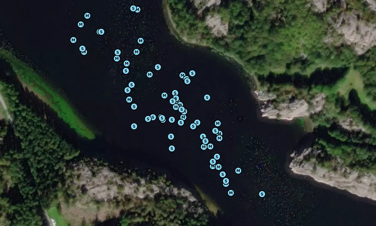 Satelite image of Alevikkilen - Lammön