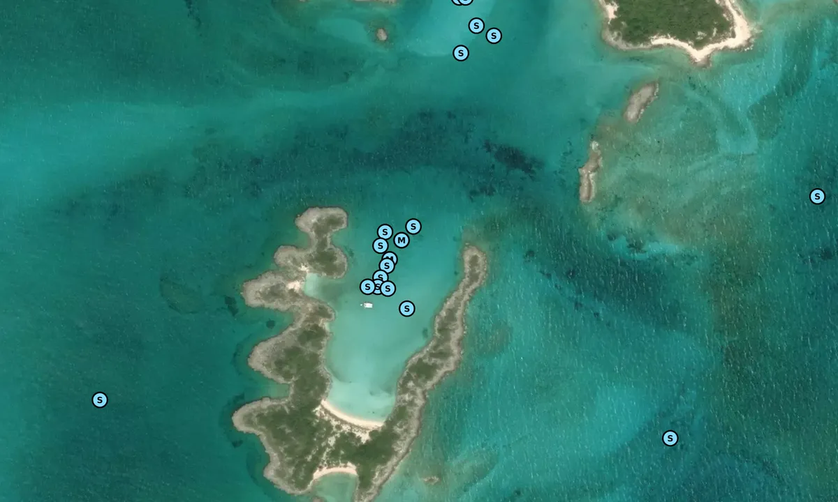 Satelite image of Allan's Cay South