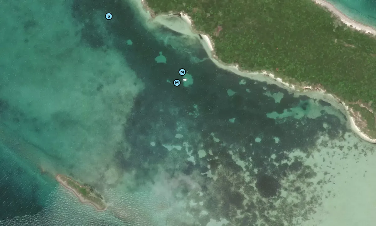 Satelite image of Allen's Cay - Cedar Harbor