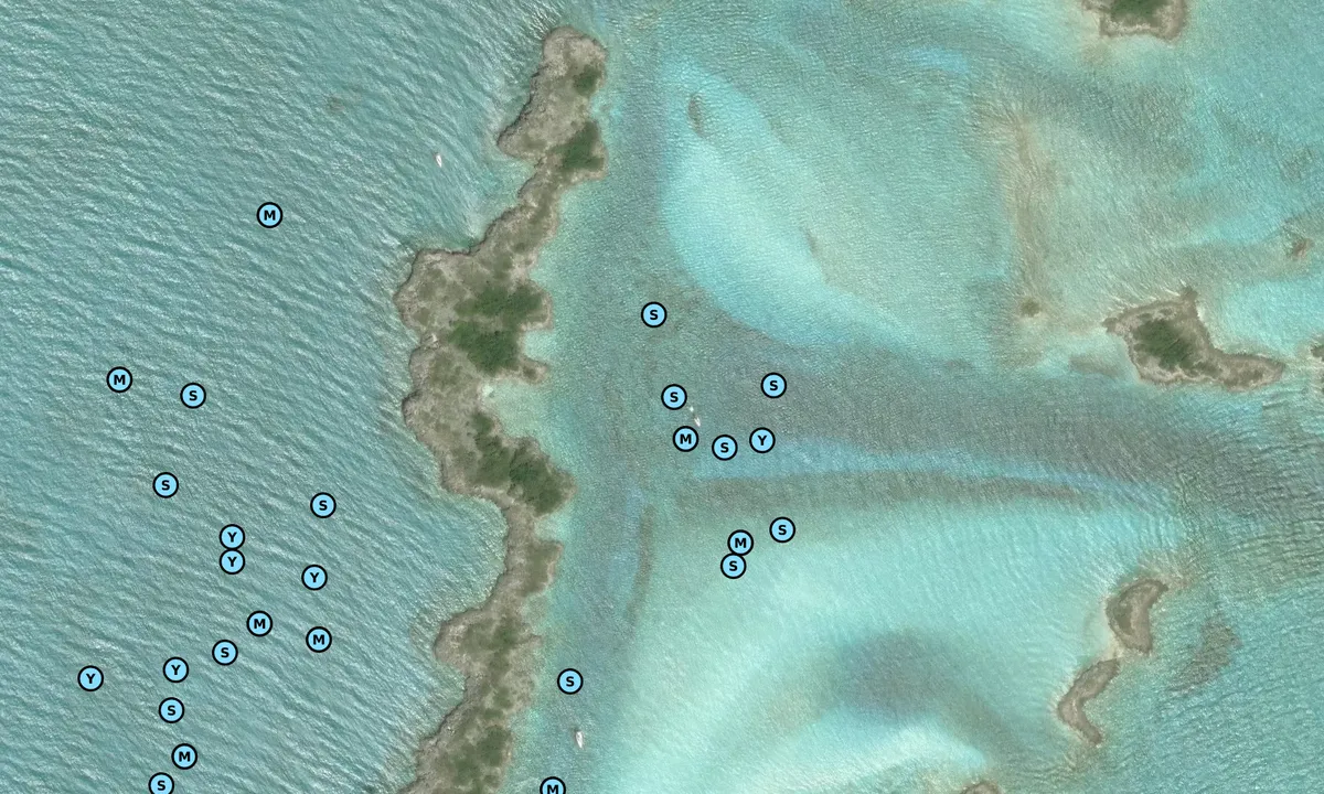 Satelite image of Allens Cay East