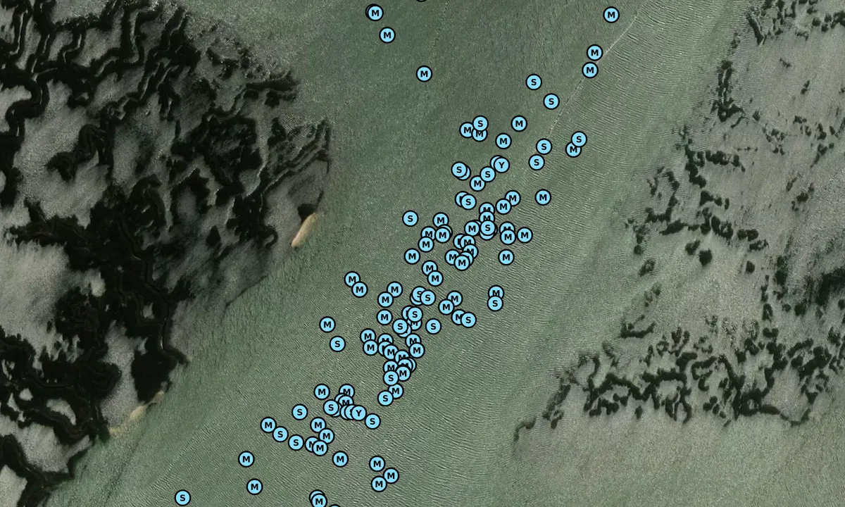 Satelite image of Alligator Pass