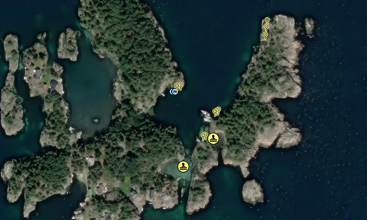 Satelite image of Åløya