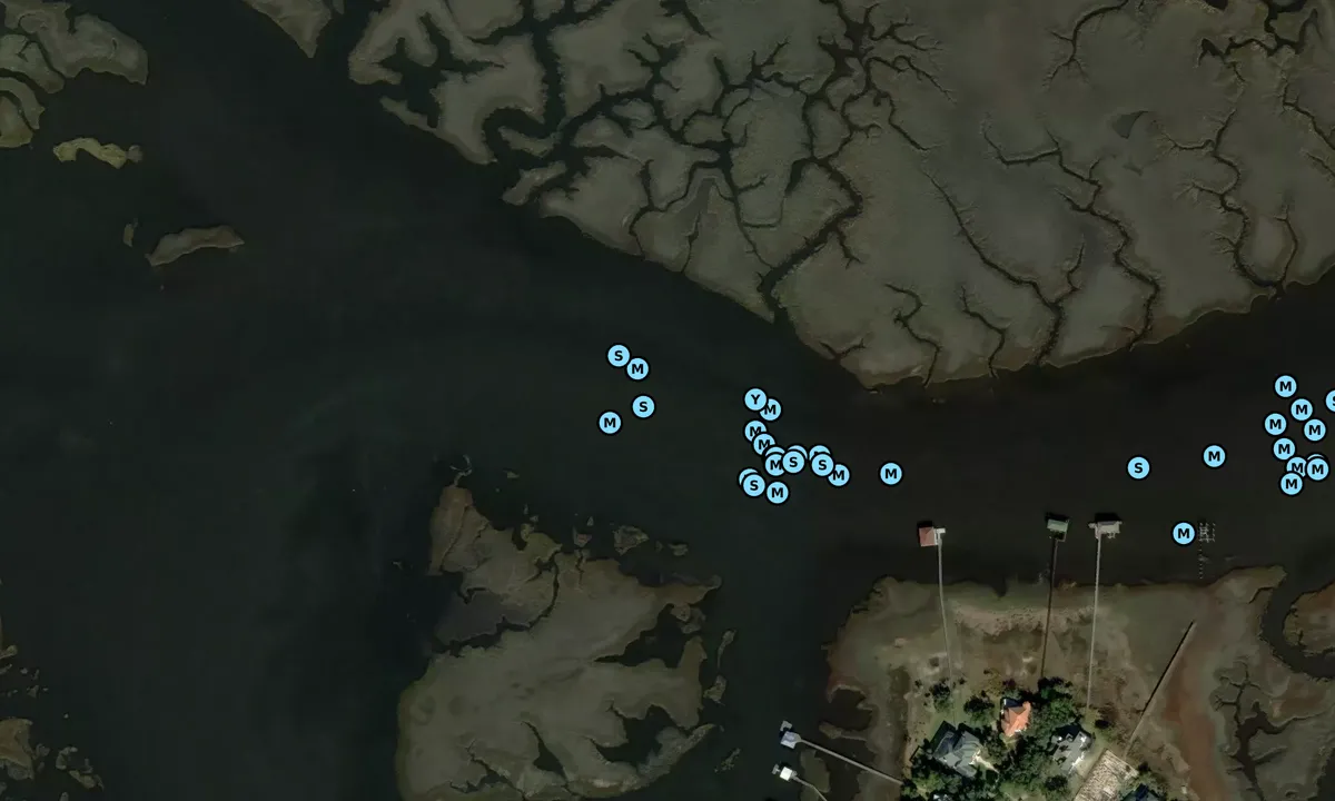 Satelite image of Amelia River