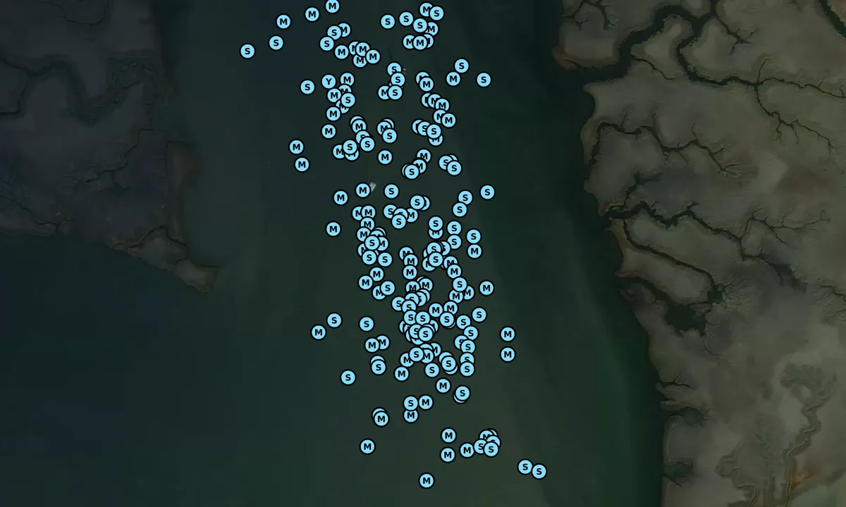 Satelite image of Amelia River - Fernandina Beach