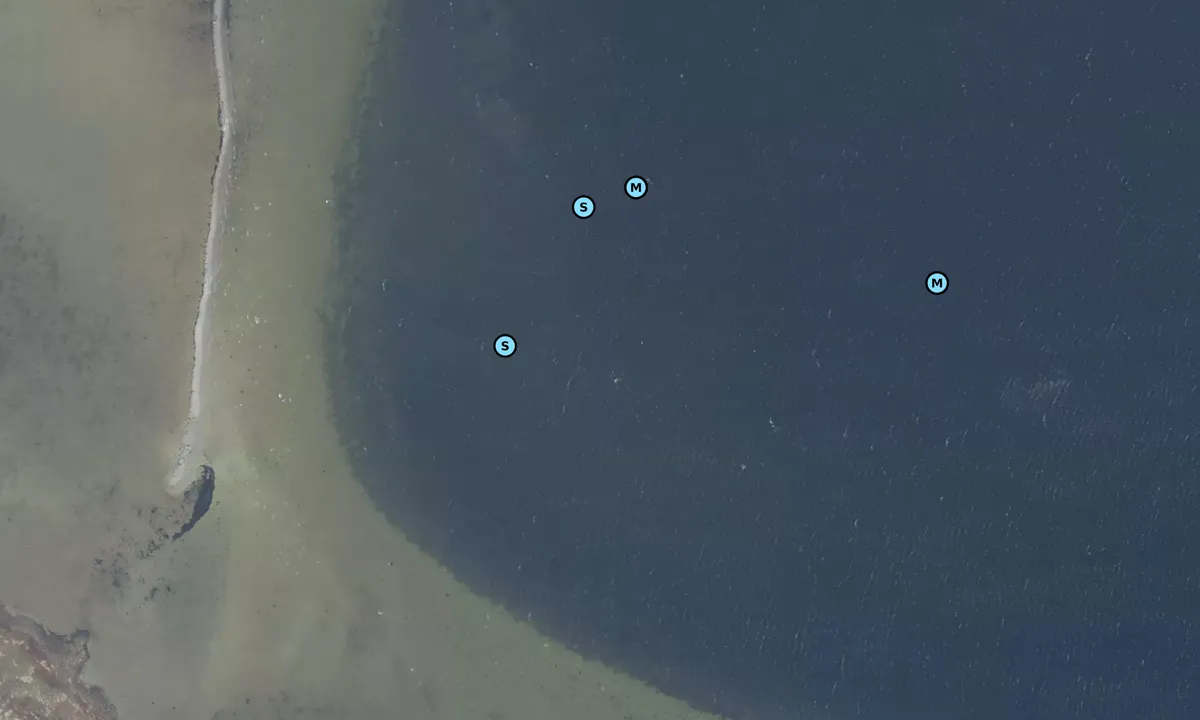 Satelite image of Ammesholm