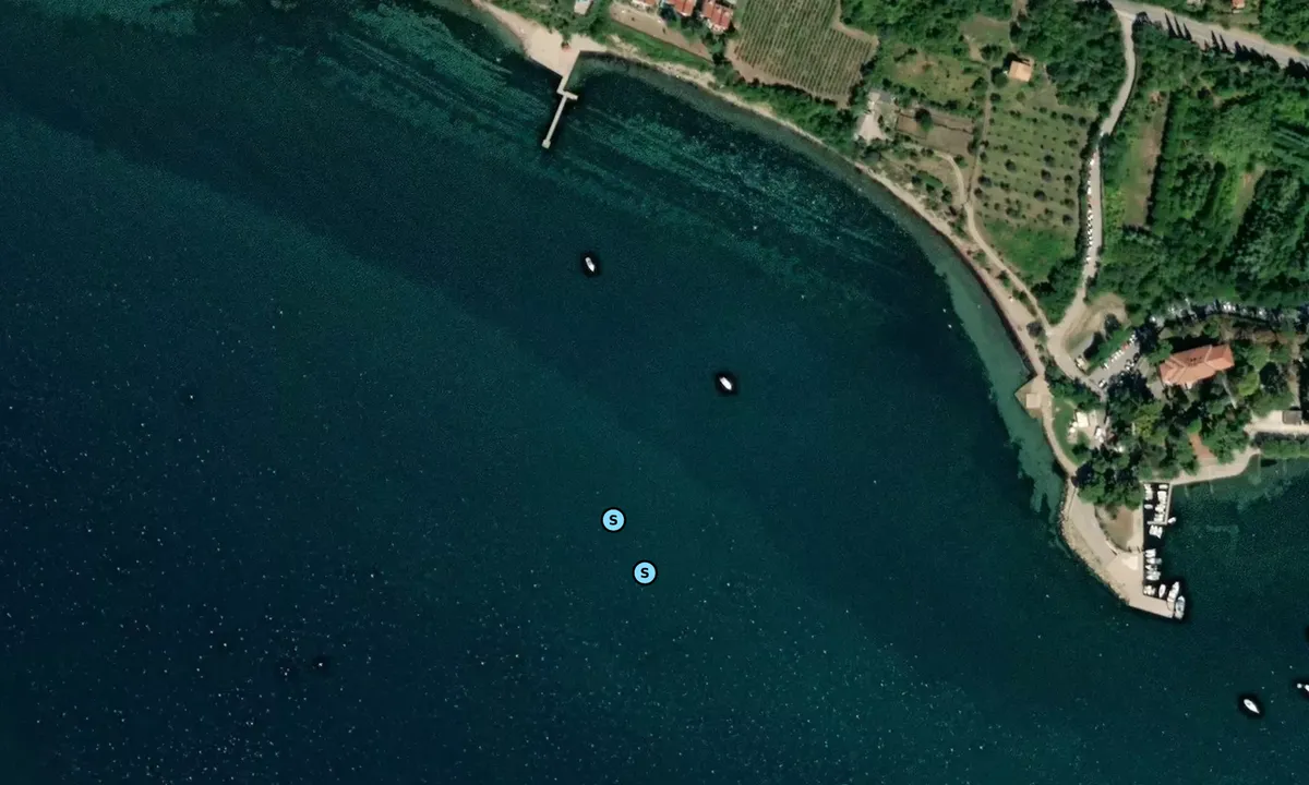 Satelite image of Ancarano