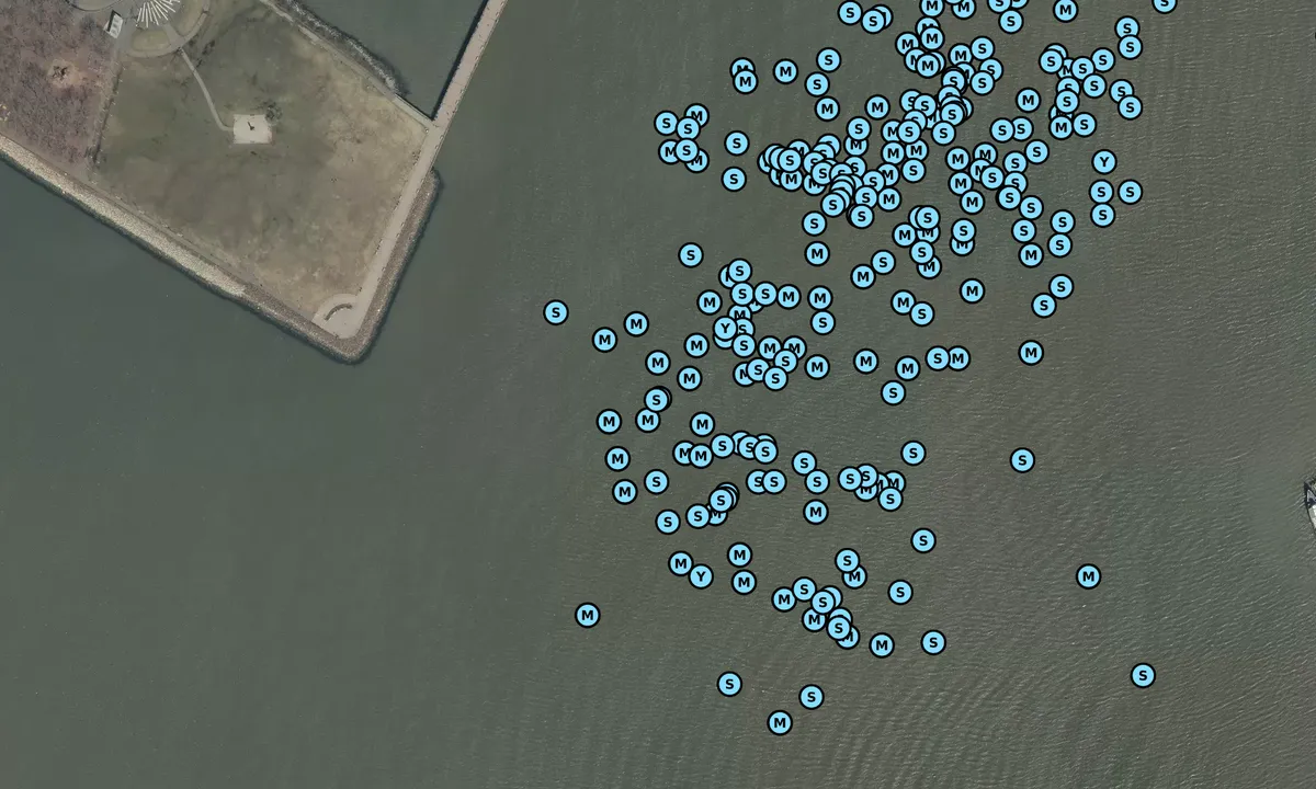 Satelite image of Anchor behind Lady Liberty