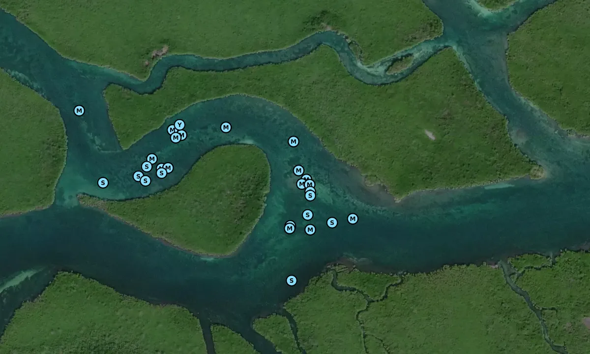 Satelite image of Angelfish Creek