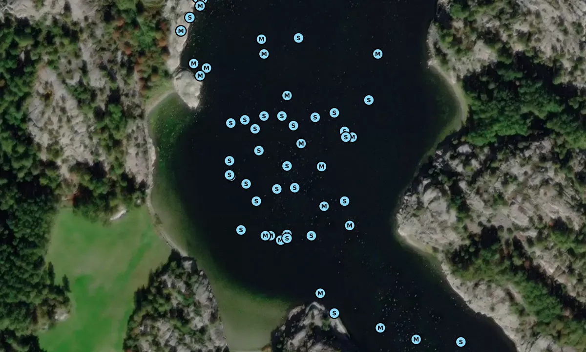 Satelite image of Angholmen