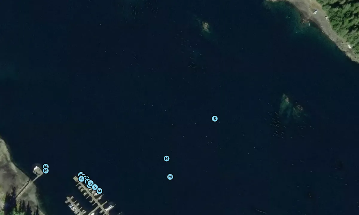 Satelite image of Angoon Harbor 1