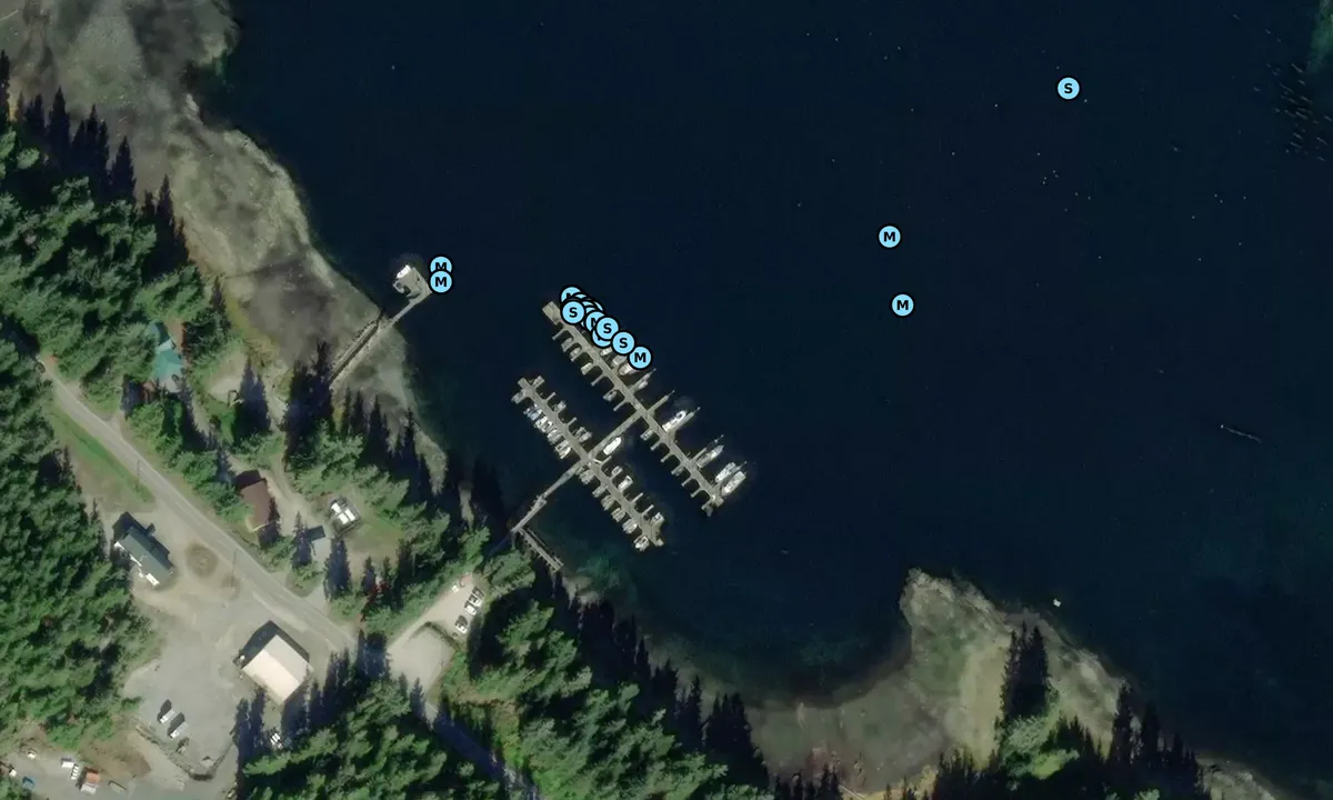 Satelite image of Angoon Harbor