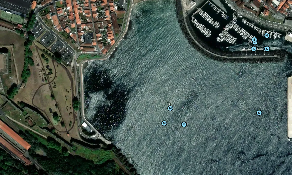 Satelite image of Angra do Heroismo Terceria