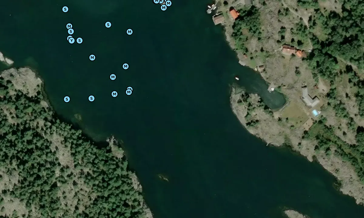 Satelite image of Ankarudden