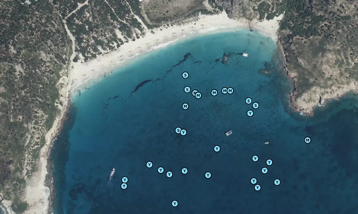 Satelite image of Anse de Grande Saline