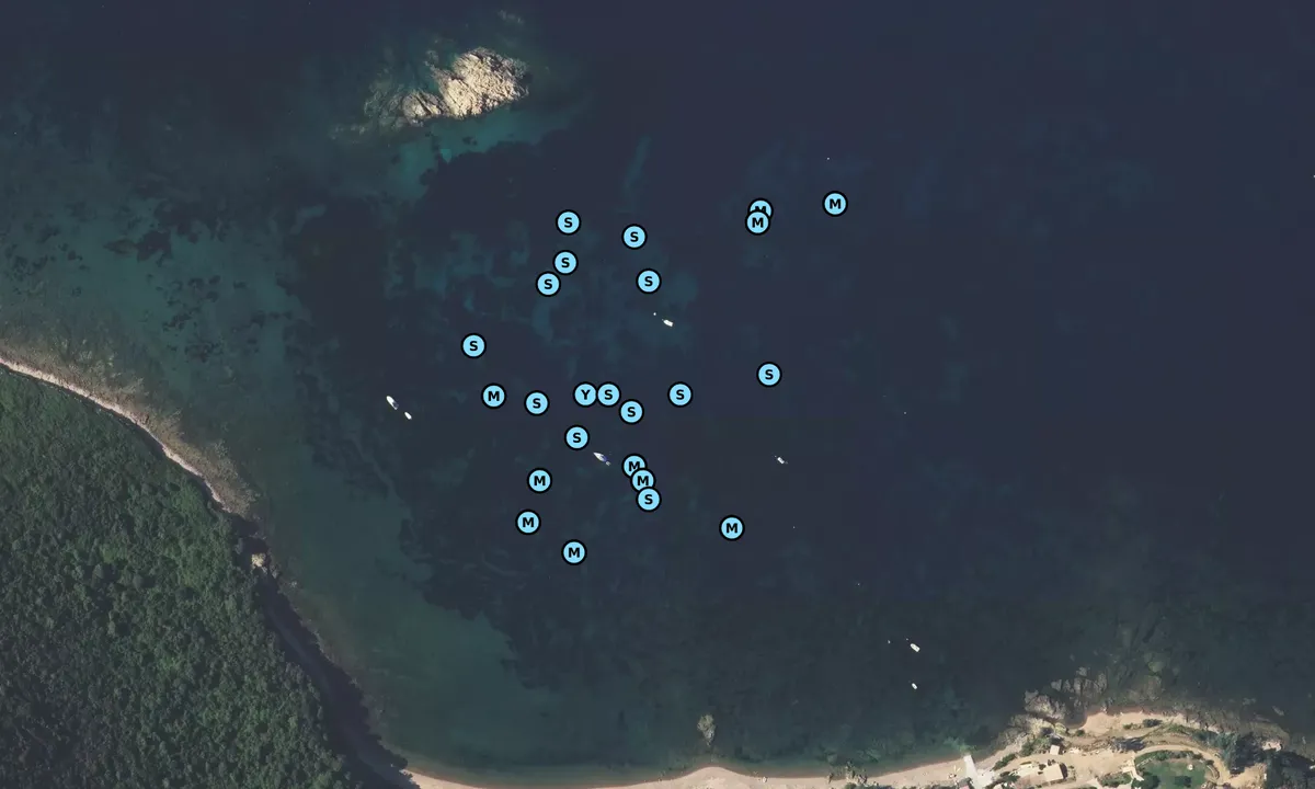 Satelite image of Anse de la Figuera