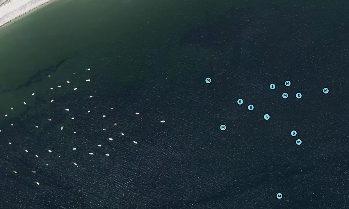 Satelite image of Anse de Suscinio