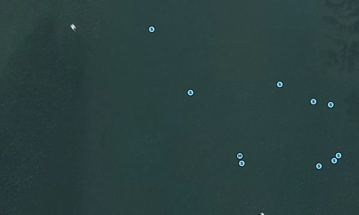 Satelite image of Anse du Martray