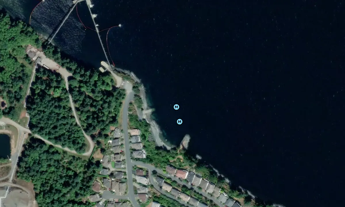 Satelite image of Arbutus Ridge Marina