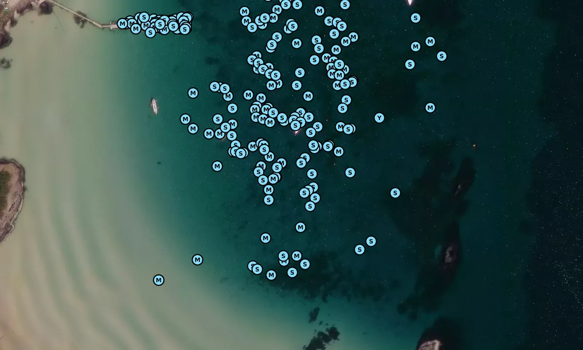 Satelite image of Ardminish Bay