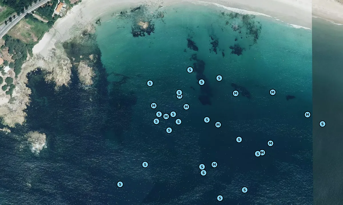 Satelite image of Area da Cruz