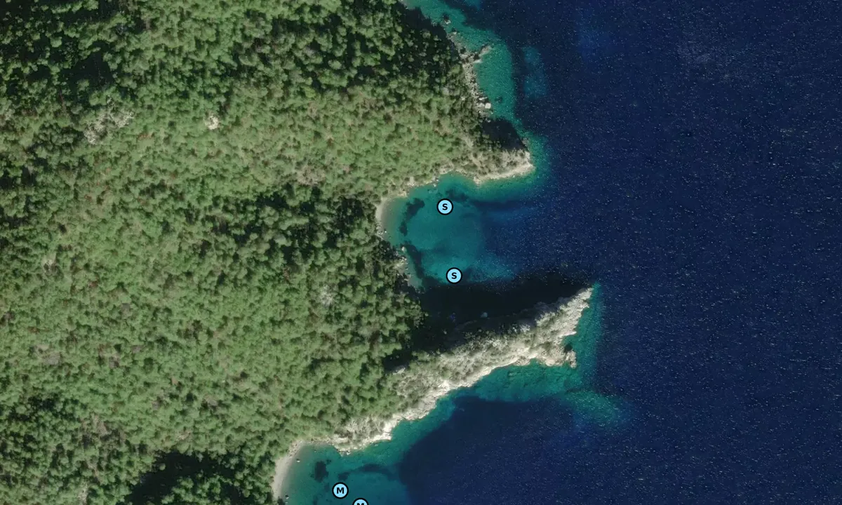 Satelite image of Arkvaryum Koyu