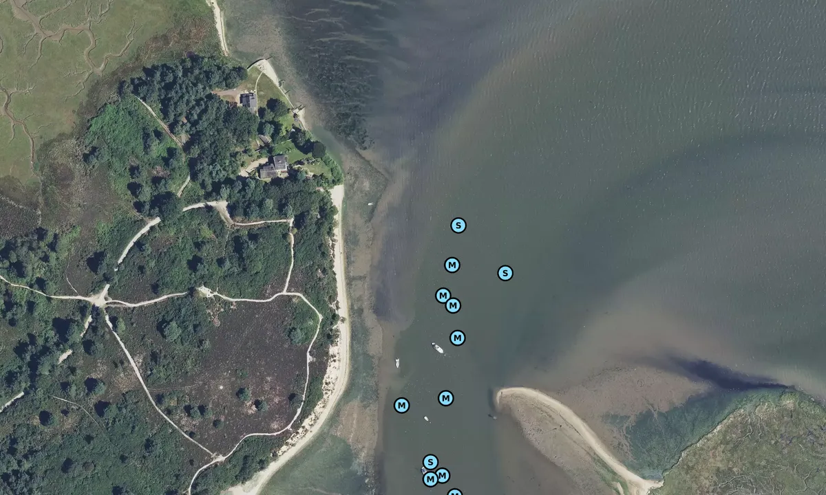 Satelite image of Arne beach