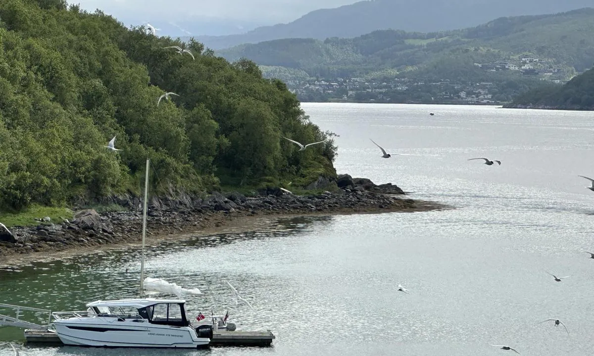 Arnøya