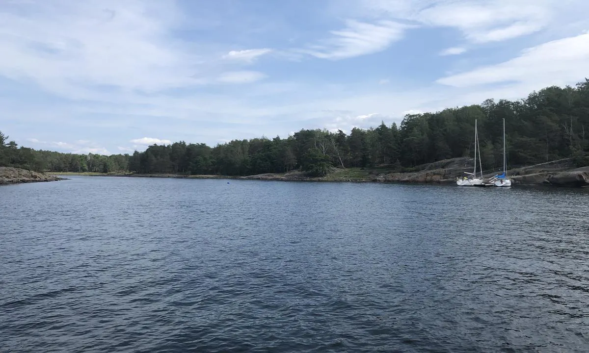 Her ser vi nordover, inn i bukta på sydsiden av Søndre Årøy. Flytebrygge til høyre, svaibøye inn i bukta og finee ankringsmuligheter.