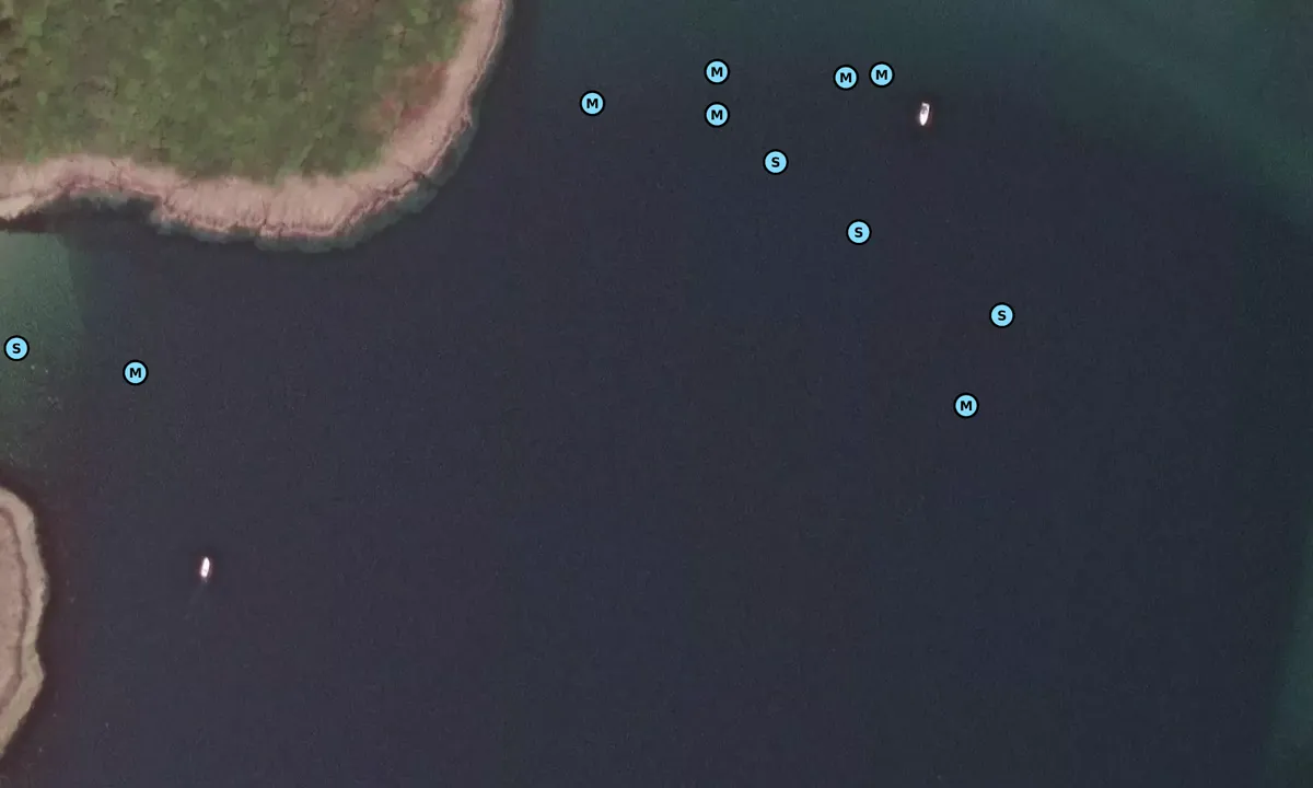 Satelite image of Asgog Bay