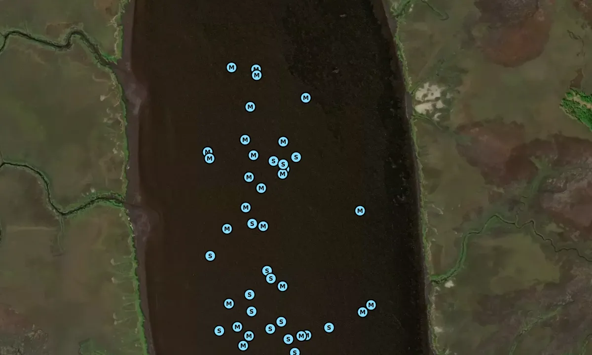 Satelite image of Ashepoo River - 1