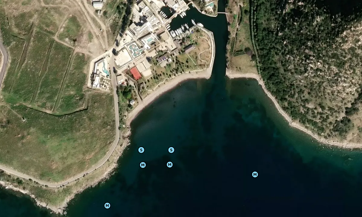 Satelite image of Aspat Beach