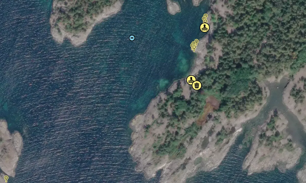 Satelite image of Auesøya - Breivig