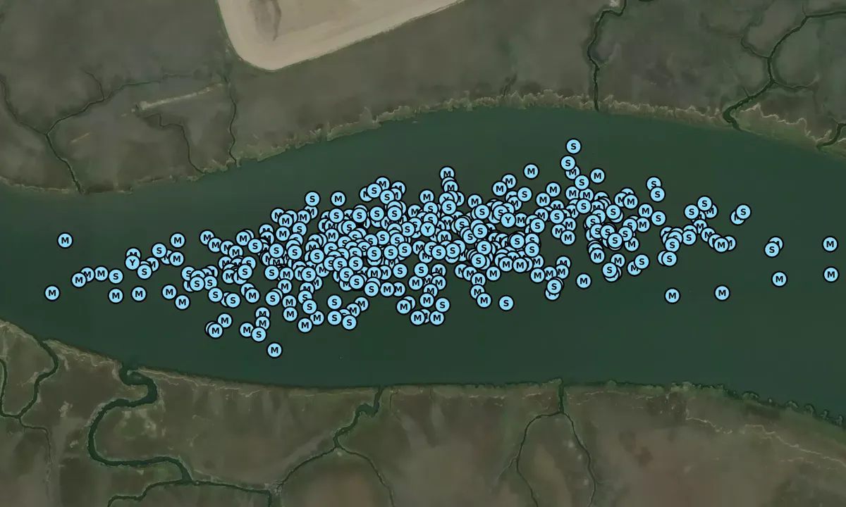 Satelite image of Awendaw Creek