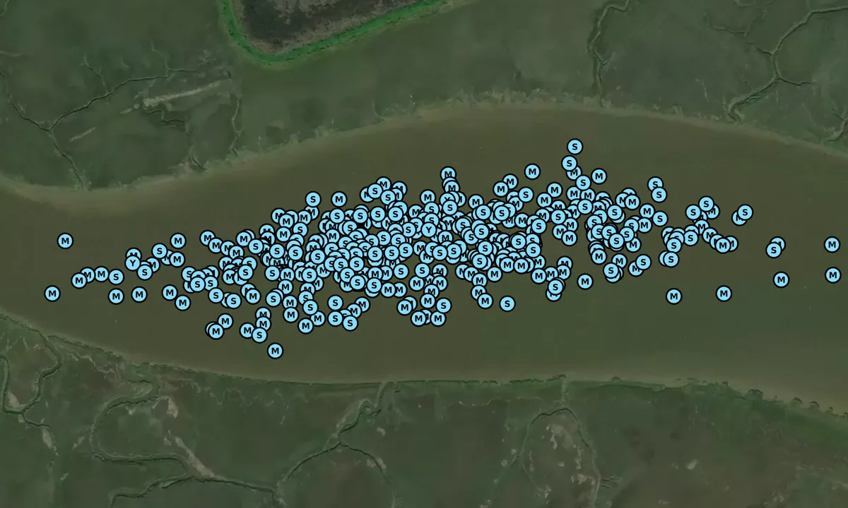 Satelite image of Awendaw Creek