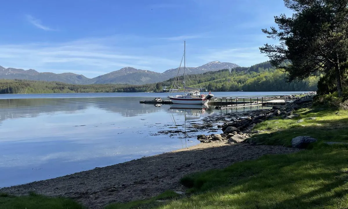 Baarsetøya: Flott plass!.