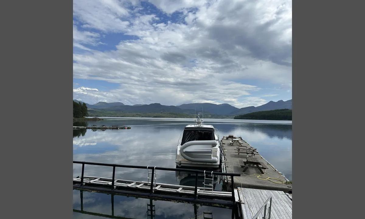 Baarsetøya: {"base": "no", "no": "Kun en brygge som en kan legge til. Den andre m\u00e5 ha blitt \u00f8delagt av vind eller is, uansett ubrukelig.\r\nOmr\u00e5det eller er kjempefint med fantastisk grillhytte og lekeomr\u00e5de for barn.\r\nAt det er mulighet for str\u00f8m og vann var sm\u00e5tt utrolig!\r\nH\u00e5per noen ildsjeler kan sette dette fritidsomr\u00e5det i stand igjen til fordoms prakt, det fortjener det.", "se": "Bara en brygga som man kan l\u00e4gga till vid. Den andra m\u00e5ste ha blivit f\u00f6rst\u00f6rd av vind eller is, oavsett oanv\u00e4ndbar. Omr\u00e5det h\u00e4r \u00e4r fantastiskt med en underbar grillhytta och lekplats f\u00f6r barn. Att det finns m\u00f6jlighet till el och vatten var n\u00e4stan otroligt! Hoppas att n\u00e5gra eldsj\u00e4lar kan \u00e5terst\u00e4lla detta fritidsomr\u00e5de till sin forna glans, det f\u00f6rtj\u00e4nar det.", "en": "Only one dock that can be moored to. The other must have been damaged by wind or ice, in any case unusable. The area itself is great with a fantastic barbecue cabin and a play area for children. That there is access to electricity and water was somewhat incredible! Hopefully, some dedicated individuals can restore this recreational area to its former glory; it deserves it.", "da": "Kun en bro, som man kan l\u00e6gge til. Den anden m\u00e5 v\u00e6re \u00f8delagt af vind eller is, uanset hvad er den ubrugelig.<br>Omr\u00e5det er ellers fremragende med fantastisk grillhytte og legeplads for b\u00f8rn.<br>At der er mulighed for str\u00f8m og vand var sm\u00e5t utroligt!<br>H\u00e5ber nogle ildsj\u00e6le kan s\u00e6tte dette fritidsomr\u00e5de i stand igen til fordums pragt, det fortjener det.", "fr": "Il y a seulement un quai o\u00f9 l'on peut accoster. L'autre a d\u00fb \u00eatre endommag\u00e9 par le vent ou la glace, de toute fa\u00e7on inutilisable. La r\u00e9gion est superbe avec une fantastique cabane \u00e0 barbecue et une aire de jeux pour enfants. Qu'il y ait possibilit\u00e9 d'\u00e9lectricit\u00e9 et d'eau \u00e9tait presque incroyable! J'esp\u00e8re que des passionn\u00e9s pourront r\u00e9habiliter cette zone de loisirs \u00e0 son ancienne gloire, elle le m\u00e9rite.", "de": "Nur ein Steg, an den man anlegen kann. Der andere muss vom Wind oder Eis besch\u00e4digt worden sein, jedenfalls unbrauchbar. Die Umgebung ist wundersch\u00f6n mit einer fantastischen Grillh\u00fctte und einem Spielbereich f\u00fcr Kinder. Dass es die M\u00f6glichkeit f\u00fcr Strom und Wasser gibt, war kaum zu glauben! Ich hoffe, dass einige Enthusiasten dieses Freizeitgebiet wieder in seinen fr\u00fcheren Glanz versetzen k\u00f6nnen, es verdient es.", "es": "Solo un muelle al que se puede atracar. El otro debe haber sido destruido por el viento o el hielo, en cualquier caso inservible. El \u00e1rea en s\u00ed es magn\u00edfica, con una caba\u00f1a de barbacoa fant\u00e1stica y un \u00e1rea de juegos para ni\u00f1os. \u00a1Era casi incre\u00edble que hubiera acceso a electricidad y agua! Espero que algunos entusiastas puedan restaurar este \u00e1rea recreativa a su antigua gloria, se lo merece.", "it": "C'\u00e8 solo un molo a cui ci si pu\u00f2 ormeggiare. L'altro deve essere stato distrutto dal vento o dal ghiaccio, comunque inutilizzabile. L'area circostante \u00e8 bellissima con un fantastico rifugio per grigliate e un'area giochi per bambini. \u00c8 stato quasi incredibile trovare la possibilit\u00e0 di allaccio per corrente e acqua! Speriamo che qualche volontario possa riportare quest'area ricreativa all'antico splendore, se lo merita.", "pt": "Apenas um cais onde se pode atracar. O outro deve ter sido destru\u00eddo pelo vento ou gelo, de qualquer maneira \u00e9 inutiliz\u00e1vel. A \u00e1rea ao redor \u00e9 maravilhosa, com uma cabana de churrasco fant\u00e1stica e uma \u00e1rea de recrea\u00e7\u00e3o para crian\u00e7as. A disponibilidade de eletricidade e \u00e1gua foi quase inacredit\u00e1vel! Espero que alguns entusiastas possam restaurar essa \u00e1rea de lazer ao seu antigo esplendor, ela merece.", "nl": "Er is slechts \u00e9\u00e9n steiger waaraan kan worden aangelegd. De andere moet zijn beschadigd door wind of ijs, hoe dan ook onbruikbaar. Maar de omgeving is prachtig met een fantastische barbecuehut en een speelplaats voor kinderen. Dat er stroom en water beschikbaar is, is bijna ongelooflijk! Ik hoop dat enkele enthousiastelingen dit recreatiegebied weer in oude glorie kunnen herstellen, het verdient het.", "pl": "Tylko jedno molo, przy kt\u00f3rym mo\u017cna zacumowa\u0107. Drugie musia\u0142o zosta\u0107 zniszczone przez wiatr lub l\u00f3d, w ka\u017cdym razie jest nieu\u017cyteczne. Okolica jest jednak przepi\u0119kna, z fantastyczn\u0105 chatk\u0105 do grillowania i placem zabaw dla dzieci. To, \u017ce jest mo\u017cliwo\u015b\u0107 pod\u0142\u0105czenia pr\u0105du i wody, by\u0142o nieco niewiarygodne! Mam nadziej\u0119, \u017ce entuzja\u015bci mog\u0105 przywr\u00f3ci\u0107 ten teren rekreacyjny do dawnej \u015bwietno\u015bci, zas\u0142uguje na to.", "uk": "\u0422\u0456\u043b\u044c\u043a\u0438 \u043e\u0434\u0438\u043d \u043f\u0440\u0438\u0447\u0430\u043b, \u0434\u043e \u044f\u043a\u043e\u0433\u043e \u043c\u043e\u0436\u043d\u0430 \u043f\u0440\u0438\u0447\u0430\u043b\u0438\u0442\u0438. \u0406\u043d\u0448\u0438\u0439, \u043c\u0430\u0431\u0443\u0442\u044c, \u0431\u0443\u0432 \u0437\u0440\u0443\u0439\u043d\u043e\u0432\u0430\u043d\u0438\u0439 \u0432\u0456\u0442\u0440\u043e\u043c \u0430\u0431\u043e \u043b\u044c\u043e\u0434\u043e\u043c, \u0443 \u0431\u0443\u0434\u044c-\u044f\u043a\u043e\u043c\u0443 \u0440\u0430\u0437\u0456 \u0432\u0456\u043d \u043d\u0435\u043f\u0440\u0438\u0434\u0430\u0442\u043d\u0438\u0439 \u0434\u043e \u0432\u0438\u043a\u043e\u0440\u0438\u0441\u0442\u0430\u043d\u043d\u044f.<br/> \u0422\u0435\u0440\u0438\u0442\u043e\u0440\u0456\u044f \u0430\u0431\u043e \u0454 \u0434\u0443\u0436\u0435 \u0433\u0430\u0440\u043d\u043e\u044e \u0437 \u0444\u0430\u043d\u0442\u0430\u0441\u0442\u0438\u0447\u043d\u043e\u044e \u0433\u0440\u0438\u043b\u044c-\u0445\u0430\u0442\u0438\u043d\u043a\u043e\u044e \u0442\u0430 \u0456\u0433\u0440\u043e\u0432\u0438\u043c \u043c\u0430\u0439\u0434\u0430\u043d\u0447\u0438\u043a\u043e\u043c \u0434\u043b\u044f \u0434\u0456\u0442\u0435\u0439.<br/> \u0422\u0435, \u0449\u043e \u0454 \u043c\u043e\u0436\u043b\u0438\u0432\u0456\u0441\u0442\u044c \u043f\u0456\u0434\u043a\u043b\u044e\u0447\u0435\u043d\u043d\u044f \u0434\u043e \u0435\u043b\u0435\u043a\u0442\u0440\u043e\u043c\u0435\u0440\u0435\u0436\u0456 \u0442\u0430 \u0432\u043e\u0434\u043e\u043f\u043e\u0441\u0442\u0430\u0447\u0430\u043d\u043d\u044f, \u0431\u0443\u043b\u043e \u043c\u0430\u0439\u0436\u0435 \u043d\u0435\u0439\u043c\u043e\u0432\u0456\u0440\u043d\u0438\u043c!<br/> \u0421\u043f\u043e\u0434\u0456\u0432\u0430\u044e\u0441\u044c, \u0449\u043e \u044f\u043a\u0456\u0441\u044c \u0435\u043d\u0442\u0443\u0437\u0456\u0430\u0441\u0442\u0438 \u0437\u043c\u043e\u0436\u0443\u0442\u044c \u0432\u0456\u0434\u043d\u043e\u0432\u0438\u0442\u0438 \u0446\u044e \u0437\u043e\u043d\u0443 \u0432\u0456\u0434\u043f\u043e\u0447\u0438\u043d\u043a\u0443 \u0434\u043e \u0457\u0457 \u043a\u043e\u043b\u0438\u0448\u043d\u044c\u043e\u0457 \u0441\u043b\u0430\u0432\u0438, \u0432\u043e\u043d\u0430 \u0446\u044c\u043e\u0433\u043e \u0437\u0430\u0441\u043b\u0443\u0433\u043e\u0432\u0443\u0454.", "ro": "Doar un ponton la care se poate acosta. Cel\u0103lalt trebuie c\u0103 a fost distrus de v\u00e2nt sau ghea\u021b\u0103, oricum este inutilizabil. Zona \u00een sine este minunat\u0103, cu un foi\u0219or fantastic pentru gr\u0103tar \u0219i un loc de joac\u0103 pentru copii. Faptul c\u0103 exist\u0103 posibilitatea de curent electric \u0219i ap\u0103 a fost oarecum incredibil! Sper\u0103m c\u0103 ni\u0219te entuzia\u0219ti vor putea reabilita din nou aceast\u0103 zon\u0103 de agrement la m\u0103re\u021bia sa de odinioar\u0103, o merit\u0103.", "tr": "Yaln\u0131zca yana\u015f\u0131labilecek bir iskele var. Di\u011fer iskele r\u00fczgar veya buz nedeniyle hasar g\u00f6rm\u00fc\u015f, her hal\u00fckarda kullan\u0131lamaz durumda. B\u00f6lge harika, m\u00fckemmel bir barbek\u00fc kul\u00fcbesi ve \u00e7ocuklar i\u00e7in oyun alan\u0131 var. Elektrik ve su imkan\u0131 olmas\u0131 inan\u0131lmazd\u0131! Umar\u0131m baz\u0131 g\u00f6n\u00fcll\u00fcler bu dinlenme b\u00f6lgesini eski ihti\u015fam\u0131na kavu\u015fturabilirler, buna de\u011fer.", "el": "\u039c\u03cc\u03bd\u03bf \u03bc\u03b9\u03b1 \u03b1\u03c0\u03bf\u03b2\u03ac\u03b8\u03c1\u03b1 \u03b5\u03af\u03bd\u03b1\u03b9 \u03b4\u03b9\u03b1\u03b8\u03ad\u03c3\u03b9\u03bc\u03b7 \u03b3\u03b9\u03b1 \u03c0\u03c1\u03cc\u03c3\u03b4\u03b5\u03c3\u03b7. \u0397 \u03ac\u03bb\u03bb\u03b7 \u03c0\u03c1\u03ad\u03c0\u03b5\u03b9 \u03bd\u03b1 \u03ad\u03c7\u03b5\u03b9 \u03ba\u03b1\u03c4\u03b1\u03c3\u03c4\u03c1\u03b1\u03c6\u03b5\u03af \u03b1\u03c0\u03cc \u03c4\u03bf\u03bd \u03ac\u03bd\u03b5\u03bc\u03bf \u03ae \u03c4\u03bf\u03bd \u03c0\u03ac\u03b3\u03bf, \u03bf\u03cd\u03c4\u03c9\u03c2 \u03ae \u03ac\u03bb\u03bb\u03c9\u03c2 \u03b5\u03af\u03bd\u03b1\u03b9 \u03ac\u03c7\u03c1\u03b7\u03c3\u03c4\u03b7. \u0397 \u03c0\u03b5\u03c1\u03b9\u03bf\u03c7\u03ae \u03b5\u03af\u03bd\u03b1\u03b9 \u03b5\u03be\u03b1\u03b9\u03c1\u03b5\u03c4\u03b9\u03ba\u03ae \u03bc\u03b5 \u03bc\u03b9\u03b1 \u03c6\u03b1\u03bd\u03c4\u03b1\u03c3\u03c4\u03b9\u03ba\u03ae \u03c3\u03ba\u03b5\u03c0\u03b1\u03c3\u03c4\u03ae \u03c8\u03b7\u03c3\u03c4\u03b1\u03c1\u03b9\u03ac \u03ba\u03b1\u03b9 \u03c0\u03b1\u03b9\u03b4\u03cc\u03c4\u03bf\u03c0\u03bf. \u03a4\u03bf \u03b3\u03b5\u03b3\u03bf\u03bd\u03cc\u03c2 \u03cc\u03c4\u03b9 \u03c5\u03c0\u03ac\u03c1\u03c7\u03b5\u03b9 \u03b4\u03c5\u03bd\u03b1\u03c4\u03cc\u03c4\u03b7\u03c4\u03b1 \u03b3\u03b9\u03b1 \u03b7\u03bb\u03b5\u03ba\u03c4\u03c1\u03b9\u03ba\u03cc \u03c1\u03b5\u03cd\u03bc\u03b1 \u03ba\u03b1\u03b9 \u03bd\u03b5\u03c1\u03cc \u03ae\u03c4\u03b1\u03bd \u03bb\u03af\u03b3\u03bf \u03b1\u03c0\u03af\u03c3\u03c4\u03b5\u03c5\u03c4\u03bf! \u0395\u03bb\u03c0\u03af\u03b6\u03c9 \u03ba\u03ac\u03c0\u03bf\u03b9\u03bf\u03b9 \u03b5\u03bd\u03b8\u03bf\u03c5\u03c3\u03b9\u03ce\u03b4\u03b5\u03b9\u03c2 \u03bd\u03b1 \u03bc\u03c0\u03bf\u03c1\u03ad\u03c3\u03bf\u03c5\u03bd \u03bd\u03b1 \u03b5\u03c0\u03b1\u03bd\u03b1\u03c6\u03ad\u03c1\u03bf\u03c5\u03bd \u03b1\u03c5\u03c4\u03ae \u03c4\u03b7\u03bd \u03c0\u03b5\u03c1\u03b9\u03bf\u03c7\u03ae \u03b1\u03bd\u03b1\u03c8\u03c5\u03c7\u03ae\u03c2 \u03c3\u03c4\u03b7 \u03b4\u03cc\u03be\u03b1 \u03c4\u03bf\u03c5 \u03c0\u03b1\u03c1\u03b5\u03bb\u03b8\u03cc\u03bd\u03c4\u03bf\u03c2, \u03c4\u03bf \u03b1\u03be\u03af\u03b6\u03b5\u03b9.", "cs": "Pouze jeden m\u016fstek, ke kter\u00e9mu se d\u00e1 p\u0159ist\u00e1t. Druh\u00fd musel b\u00fdt po\u0161kozen\u00fd v\u011btrem nebo ledem, v ka\u017ed\u00e9m p\u0159\u00edpad\u011b je nepou\u017eiteln\u00fd. Oblast je skv\u011bl\u00e1 s fantastickou grilovac\u00ed chatou a d\u011btsk\u00fdm h\u0159i\u0161t\u011bm. Mo\u017enost p\u0159ipojen\u00ed elekt\u0159iny a vody byla t\u00e9m\u011b\u0159 neuv\u011b\u0159iteln\u00e1! Douf\u00e1m, \u017ee n\u011bjac\u00ed nad\u0161enci mohou op\u011bt d\u00e1t tuto rekrea\u010dn\u00ed oblast do po\u0159\u00e1dku do jej\u00ed d\u00e1vn\u00e9 sl\u00e1vy, zaslou\u017e\u00ed si to.", "hu": "Csak egy m\u00f3l\u00f3 van, ahol kik\u00f6thet. A m\u00e1sikat a sz\u00e9l vagy a j\u00e9g tette t\u00f6nkre, mindenesetre haszn\u00e1lhatatlan. A k\u00f6rny\u00e9k viszont gy\u00f6ny\u00f6r\u0171, fantasztikus grillez\u0151 helyis\u00e9ggel \u00e9s j\u00e1tsz\u00f3t\u00e9rrel a gyerekek sz\u00e1m\u00e1ra. Hogy van lehet\u0151s\u00e9g \u00e1ramra \u00e9s v\u00edzre, az kicsit hihetetlen! Rem\u00e9lem, n\u00e9h\u00e1ny lelkes szem\u00e9ly \u00fajra rendbe hozza ezt a szabadid\u0151s ter\u00fcletet a r\u00e9gi f\u00e9ny\u00e9be, meg\u00e9rdemli.", "fi": "Siell\u00e4 on vain yksi laituri, johon voi kiinnitty\u00e4. Toinen on varmaan tuhoutunut myrskyss\u00e4 tai j\u00e4\u00e4ss\u00e4, joka tapauksessa k\u00e4ytt\u00f6kelvoton. <br> Alue on kuitenkin todella hieno, siell\u00e4 on upea grillikota ja leikkipaikka lapsille. <br> Se, ett\u00e4 siell\u00e4 on mahdollisuus s\u00e4hk\u00f6\u00f6n ja veteen, oli melkein uskomatonta! <br> Toivon, ett\u00e4 jotkut innokkaat harrastajat voivat kunnostaa t\u00e4m\u00e4n virkistysalueen takaisin entiseen loistoonsa, se ansaitsee sen.", "bg": "\u0421\u0430\u043c\u043e \u0435\u0434\u0438\u043d \u043a\u0435\u0439 \u0437\u0430 \u043f\u0440\u0438\u0441\u0442\u0430\u0432\u0430\u043d\u0435. \u0414\u0440\u0443\u0433\u0438\u044f\u0442 \u0442\u0440\u044f\u0431\u0432\u0430 \u0434\u0430 \u0435 \u0431\u0438\u043b \u0440\u0430\u0437\u0440\u0443\u0448\u0435\u043d \u043e\u0442 \u0432\u044f\u0442\u044a\u0440 \u0438\u043b\u0438 \u043b\u0435\u0434, \u0432\u044a\u0432 \u0432\u0441\u0435\u043a\u0438 \u0441\u043b\u0443\u0447\u0430\u0439 \u043d\u0435\u0438\u0437\u043f\u043e\u043b\u0437\u0432\u0430\u0435\u043c.<br>\u0420\u0430\u0439\u043e\u043d\u044a\u0442 \u0435 \u0441\u0442\u0440\u0430\u0445\u043e\u0442\u0435\u043d \u0441 \u043d\u0435\u0432\u0435\u0440\u043e\u044f\u0442\u043d\u0430 \u043a\u044a\u0449\u0430 \u0437\u0430 \u0431\u0430\u0440\u0431\u0435\u043a\u044e \u0438 \u0434\u0435\u0442\u0441\u043a\u0430 \u043f\u043b\u043e\u0449\u0430\u0434\u043a\u0430.<br>\u0412\u044a\u0437\u043c\u043e\u0436\u043d\u043e\u0441\u0442\u0442\u0430 \u0437\u0430 \u0442\u043e\u043a \u0438 \u0432\u043e\u0434\u0430 \u0431\u0435\u0448\u0435 \u0434\u043e\u0441\u0442\u0430 \u043d\u0435\u0432\u0435\u0440\u043e\u044f\u0442\u043d\u0430!<br>\u041d\u0430\u0434\u044f\u0432\u0430\u043c \u0441\u0435 \u043d\u044f\u043a\u043e\u0438 \u0435\u043d\u0442\u0443\u0441\u0438\u0430\u0441\u0442\u0438 \u0434\u0430 \u0432\u044a\u0437\u0441\u0442\u0430\u043d\u043e\u0432\u044f\u0442 \u0442\u0430\u0437\u0438 \u0437\u043e\u043d\u0430 \u0437\u0430 \u043e\u0442\u0434\u0438\u0445 \u0434\u043e \u043f\u0440\u0435\u0434\u0438\u0448\u043d\u043e\u0442\u043e \u0439 \u0432\u0435\u043b\u0438\u0447\u0438\u0435, \u0437\u0430\u0441\u043b\u0443\u0436\u0430\u0432\u0430 \u0433\u043e.", "sr": "\u0421\u0430\u043c\u043e \u0458\u0435\u0434\u0430\u043d \u043f\u0440\u0438\u0441\u0442\u0430\u043d \u043d\u0430 \u043a\u043e\u0458\u0435\u043c \u0441\u0435 \u043c\u043e\u0436\u0435 \u043f\u0440\u0438\u0441\u0442\u0430\u0442\u0438. \u0414\u0440\u0443\u0433\u0438 \u0458\u0435 \u0432\u0435\u0440\u043e\u0432\u0430\u0442\u043d\u043e \u0443\u043d\u0438\u0448\u0442\u0435\u043d \u0432\u0435\u0442\u0440\u043e\u043c \u0438\u043b\u0438 \u043b\u0435\u0434\u043e\u043c, \u0443 \u0441\u0432\u0430\u043a\u043e\u043c \u0441\u043b\u0443\u0447\u0430\u0458\u0443, \u043d\u0435\u0443\u043f\u043e\u0442\u0440\u0435\u0431\u0459\u0438\u0432.<br>\u041f\u043e\u0434\u0440\u0443\u0447\u0458\u0435 \u0458\u0435 \u0438\u0437\u0432\u0430\u043d\u0440\u0435\u0434\u043d\u043e \u0441\u0430 \u0444\u0430\u043d\u0442\u0430\u0441\u0442\u0438\u0447\u043d\u043e\u043c \u043a\u0443\u045b\u0438\u0446\u043e\u043c \u0437\u0430 \u0440\u043e\u0448\u0442\u0438\u0459 \u0438 \u0438\u0433\u0440\u0430\u043b\u0438\u0448\u0442\u0435\u043c \u0437\u0430 \u0434\u0435\u0446\u0443.<br>\u041c\u043e\u0433\u0443\u045b\u043d\u043e\u0441\u0442 \u0437\u0430 \u0441\u0442\u0440\u0443\u0458\u0443 \u0438 \u0432\u043e\u0434\u0443 \u0458\u0435 \u0431\u0438\u043b\u0430 \u043d\u0435\u0432\u0435\u0440\u043e\u0432\u0430\u0442\u043d\u0430!<br>\u041d\u0430\u0434\u0430\u043c \u0441\u0435 \u0434\u0430 \u045b\u0435 \u043d\u0435\u043a\u0438 \u0435\u043d\u0442\u0443\u0437\u0438\u0458\u0430\u0441\u0442\u0438 \u043e\u0432\u0430\u0458 \u0440\u0435\u043a\u0440\u0435\u0430\u0446\u0438\u043e\u043d\u0438 \u043f\u0440\u043e\u0441\u0442\u043e\u0440 \u043f\u043e\u043d\u043e\u0432\u043e \u0434\u043e\u0432\u0435\u0441\u0442\u0438 \u0443 \u0440\u0430\u043d\u0438\u0458\u0443 \u0441\u0458\u0430\u0458\u043d\u0443 \u0444\u043e\u0440\u043c\u0443, \u0442\u043e \u0437\u0430\u0441\u043b\u0443\u0436\u0443\u0458\u0435.", "et": "Ainult \u00fcks kai, mille k\u00fclge saab kinnituda. Teine peab olema tuule v\u00f5i j\u00e4\u00e4 poolt rikutud, igal juhul on kasutusk\u00f5lbmatu.<br> Piirkond ise on v\u00e4ga kena imelise grillmaja ja laste m\u00e4ngualaga.<br> Elektri ja vee saadavus oli \u00fcsna uskumatu!<br> Loodan, et m\u00f5ned tulihingelised inimesed suudavad selle vabaaja ala taas oma endise hiilguse juurde viia, see v\u00e4\u00e4rib seda.", "lv": "Tikai viena piest\u0101tne, kurai var piek\u013c\u016bt. Otra, \u0161\u0137iet, ir izn\u012bcin\u0101ta v\u0113ja vai ledus d\u0113\u013c, jebkur\u0101 gad\u012bjum\u0101 neizmantojama. Apgabals vai ir lieliski pievilc\u012bgs ar fantastisku grila m\u0101ji\u0146u un b\u0113rnu sp\u0113\u013cu laukumu. Tas, ka ir pieejama elektr\u012bba un \u016bdens, bija mazliet neticami! Ceru, ka da\u017ei entuziasti var\u0113tu \u0161o atp\u016btas teritoriju atjaunot l\u012bdz t\u0101s biju\u0161ajam greznumam, to tas ir peln\u012bjis.", "lt": "Tik viena prieplauka, prie kurios galima prisi\u0161vartuoti. Kita turb\u016bt sugadinta v\u0117jo ar ledo, bet kuriuo atveju netinkama naudoti. Rajonas yra labai gra\u017eus su nuostabia grilio trobele ir vaik\u0173 \u017eaidim\u0173 aik\u0161tele. Tai, kad yra galimyb\u0117 naudotis elektra ir vandeniu, buvo gana ne\u012ftik\u0117tina! Tikim\u0117s, kad kokie nors entuziastai gal\u0117t\u0173 \u0161i\u0105 poilsio zon\u0105 atkurti \u012f buvusi\u0105 \u0161lov\u0119, to ji tikrai nusipelno."}