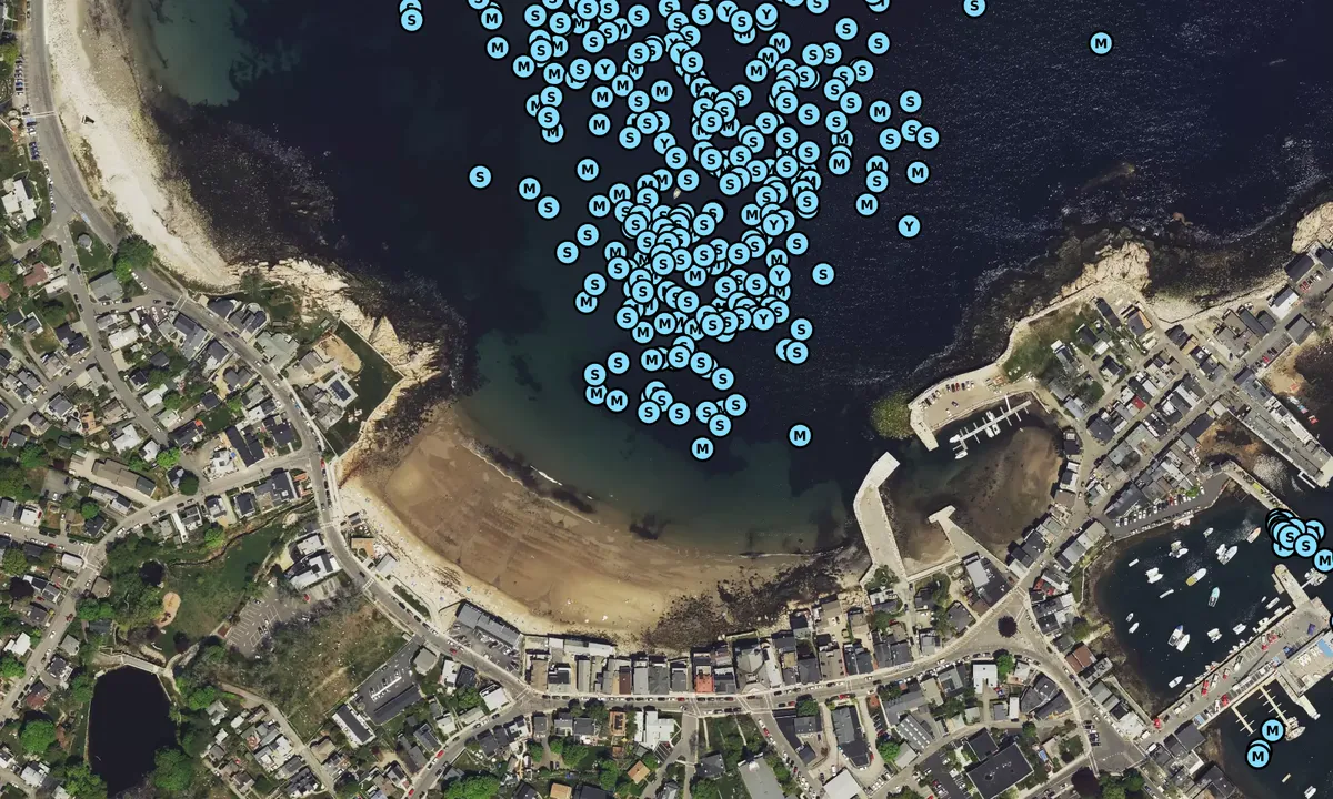 Satelite image of Back Harbor