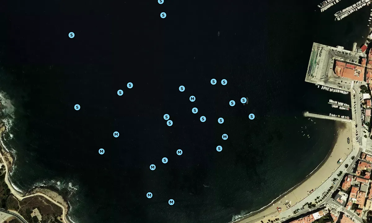 Satelite image of Badia de la Selva