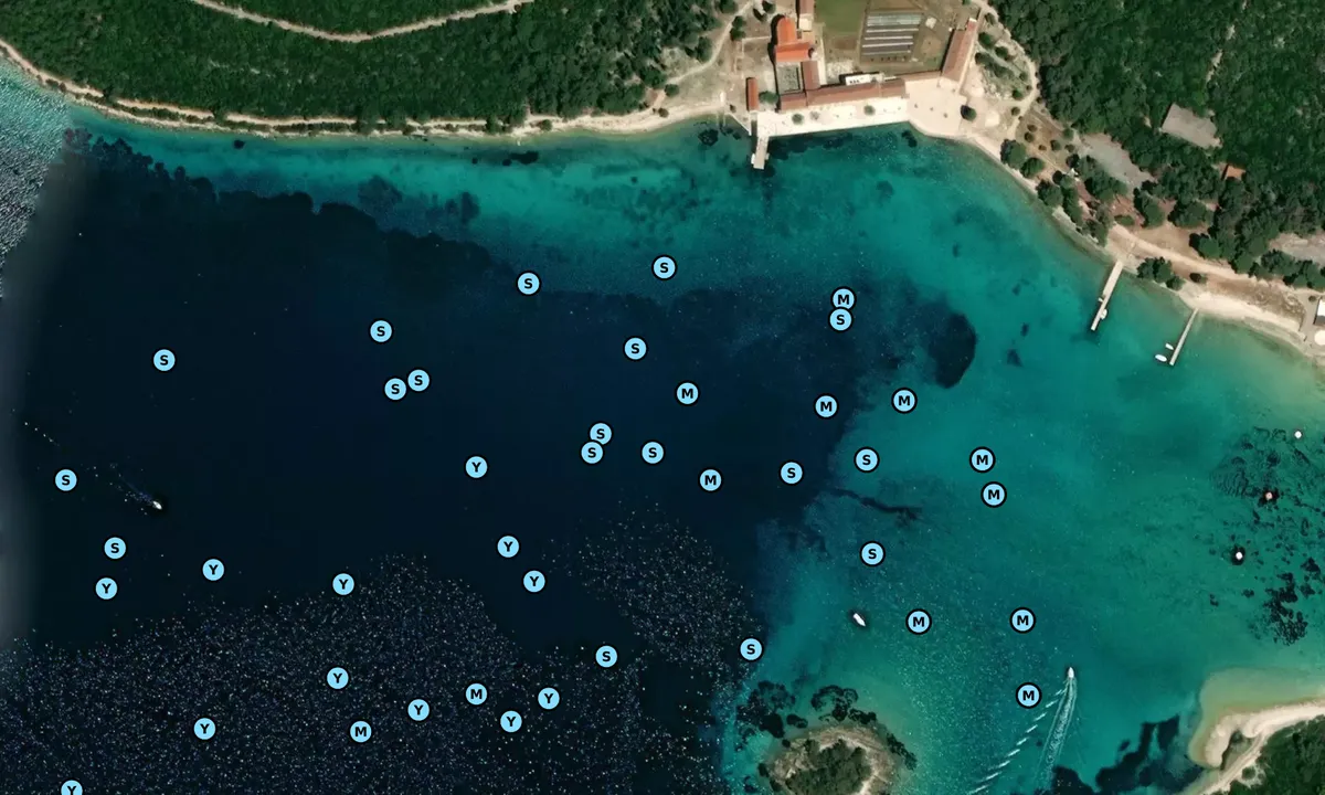 Satelite image of Badija