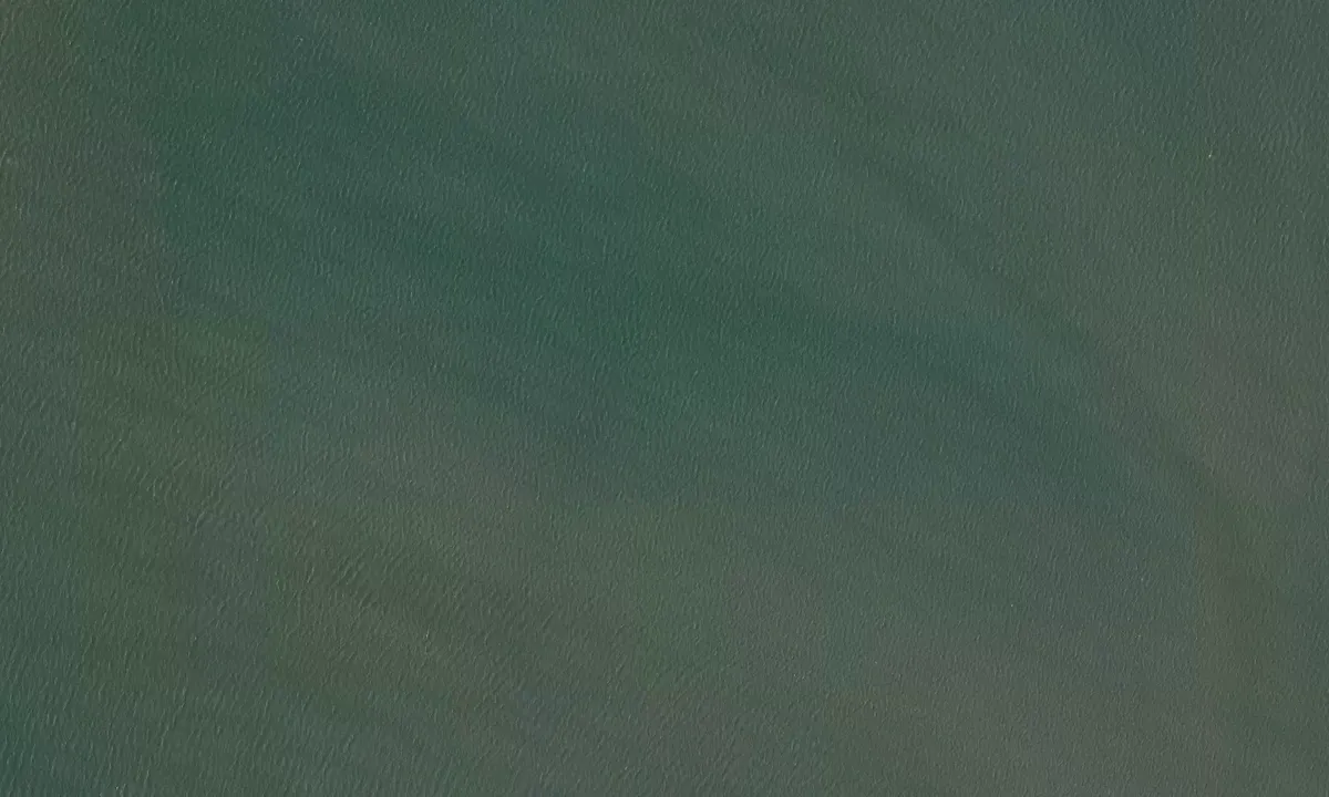 Satelite image of Bahia Blanca