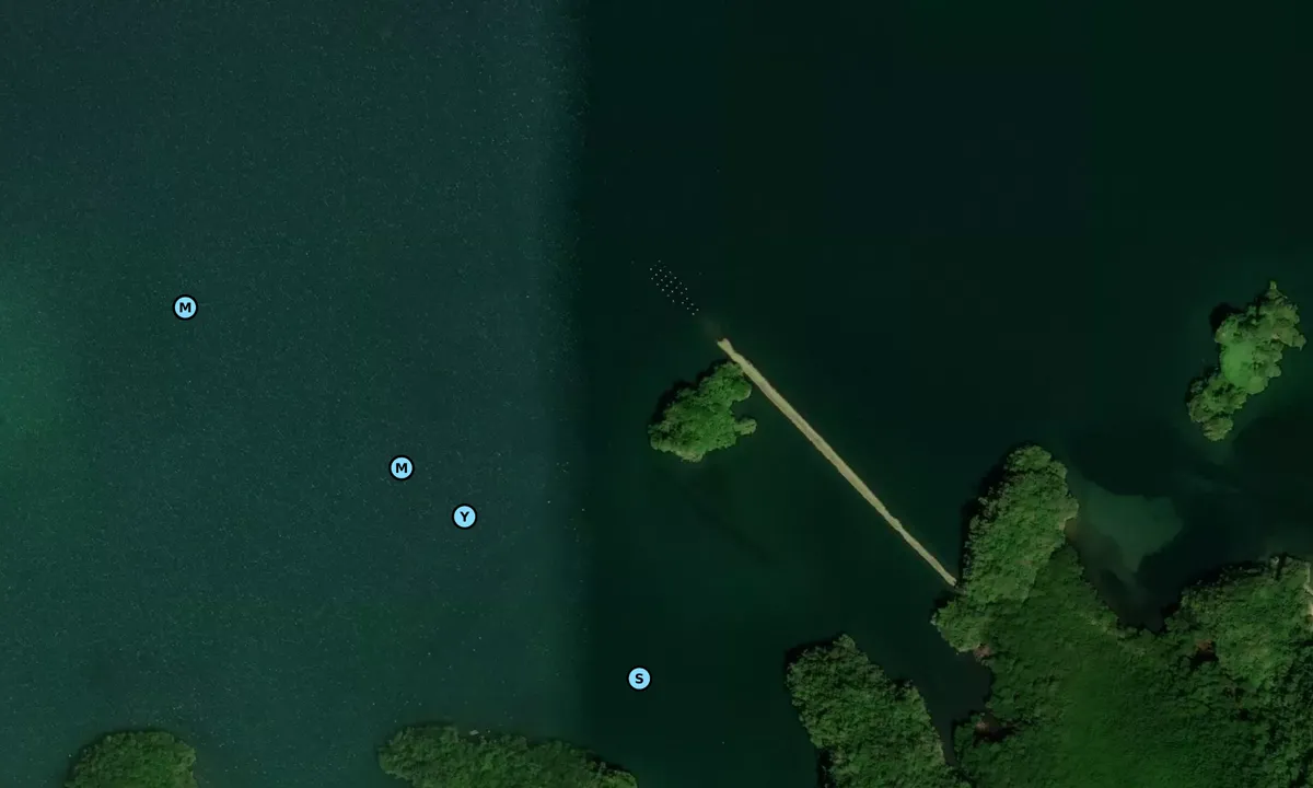 Satelite image of Bahia De San Lorenzo