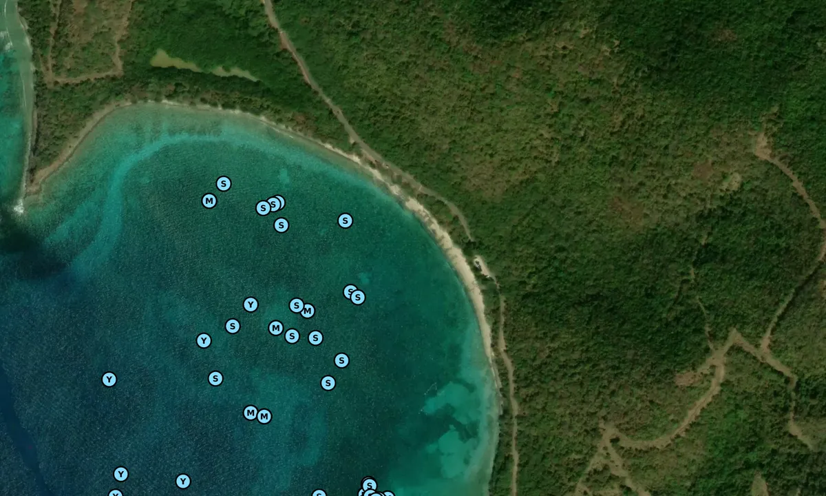 Satelite image of Bahia Tamarindo (moorings)