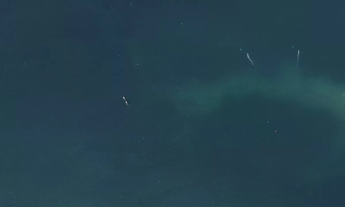 Satelite image of Baie de Fort de France