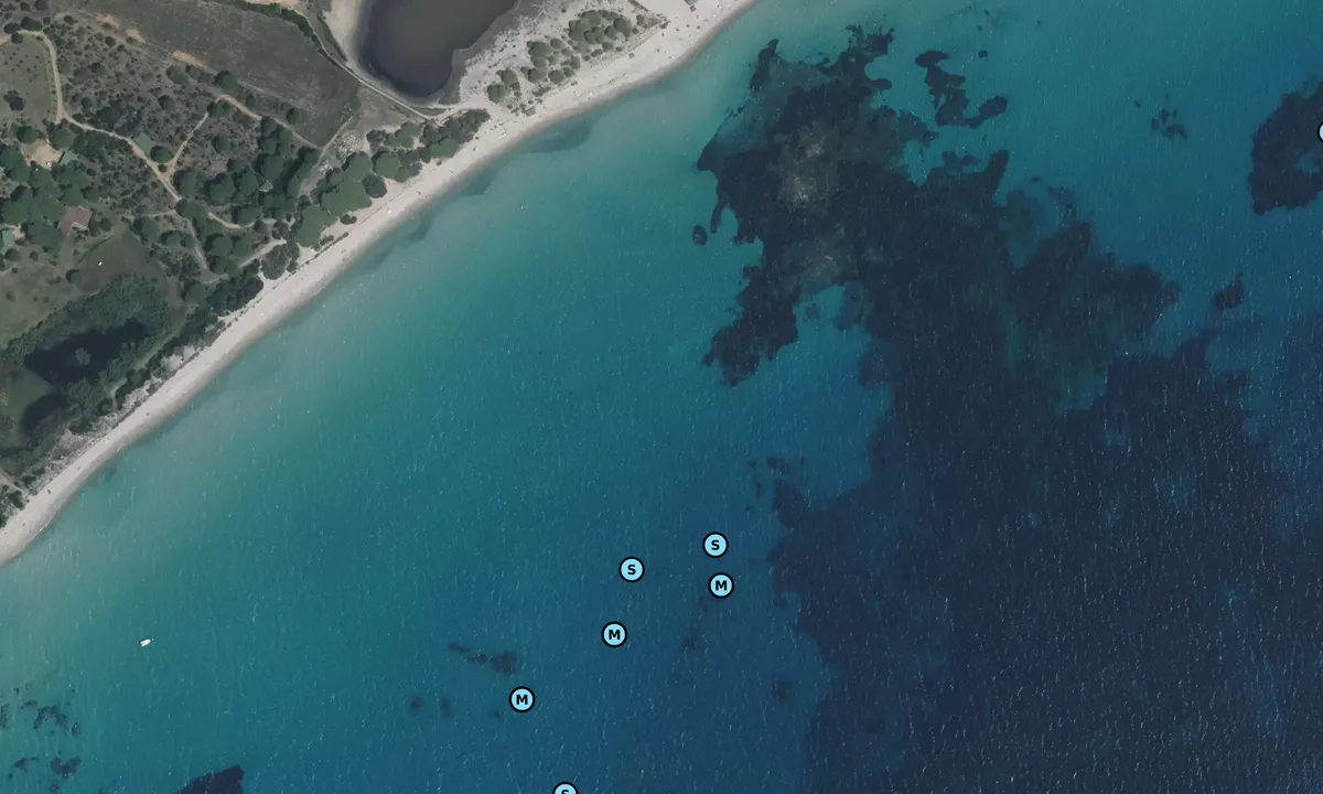 Satelite image of Baie de Palombaggia